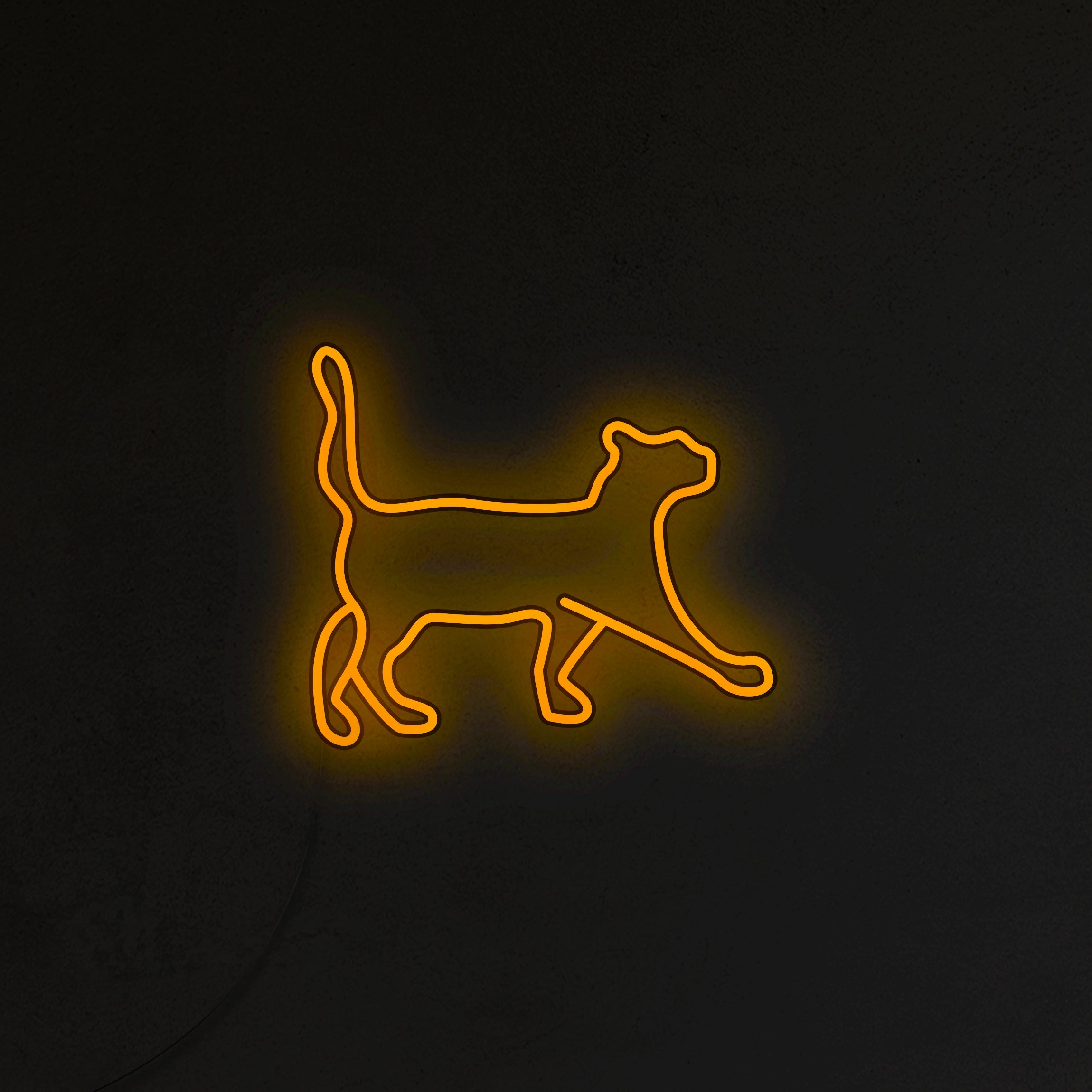 Kot Neon LED