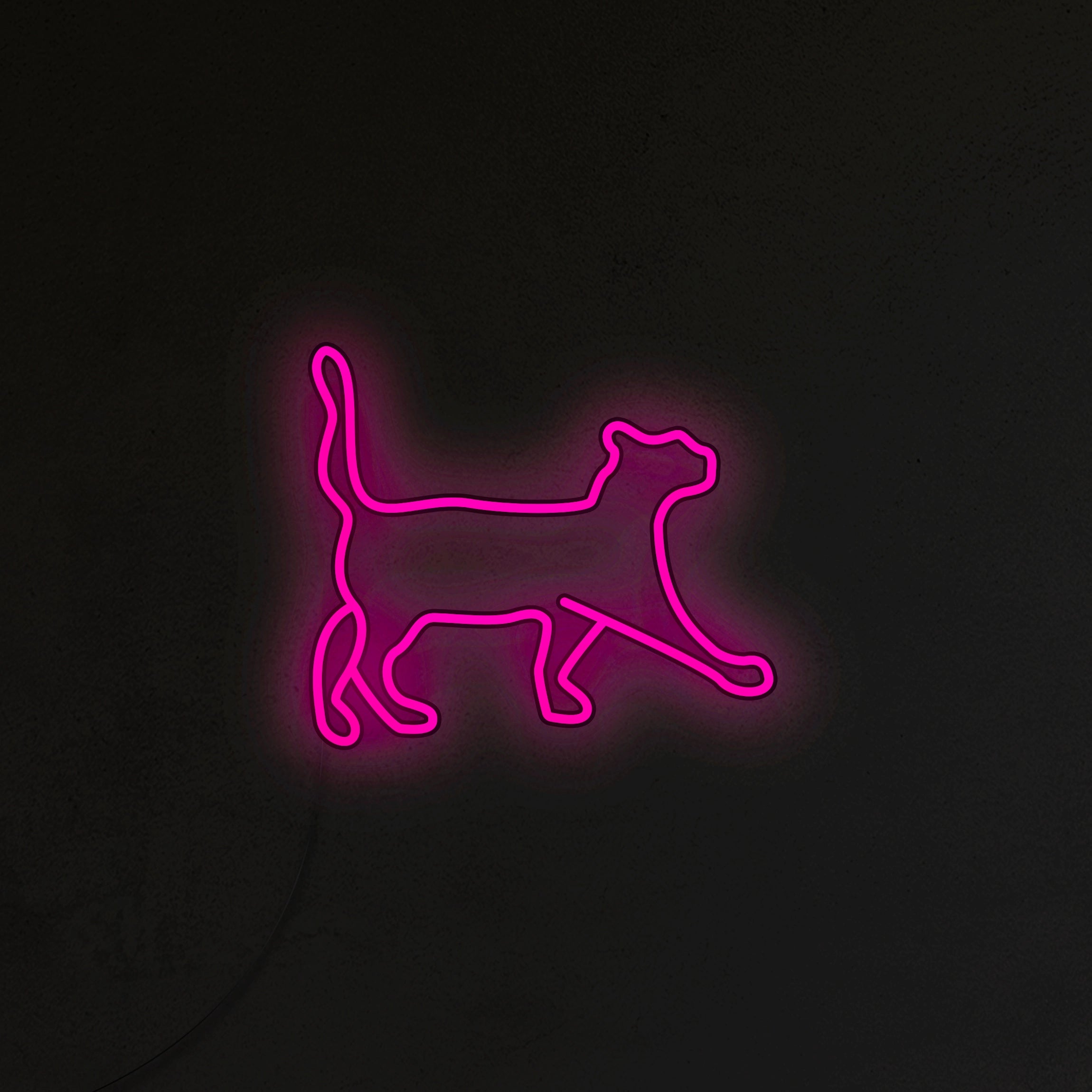Kot Neon LED