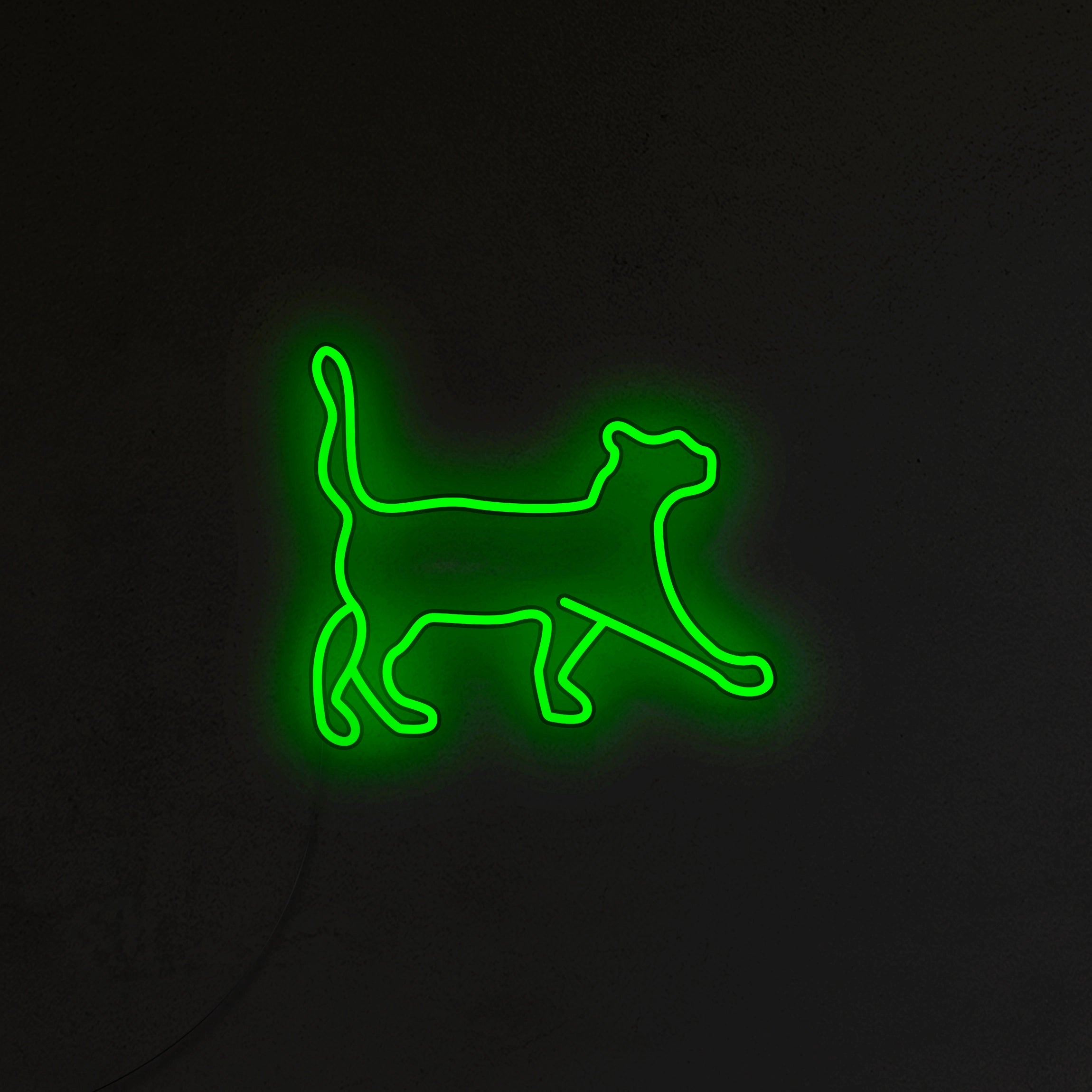 Kot Neon LED
