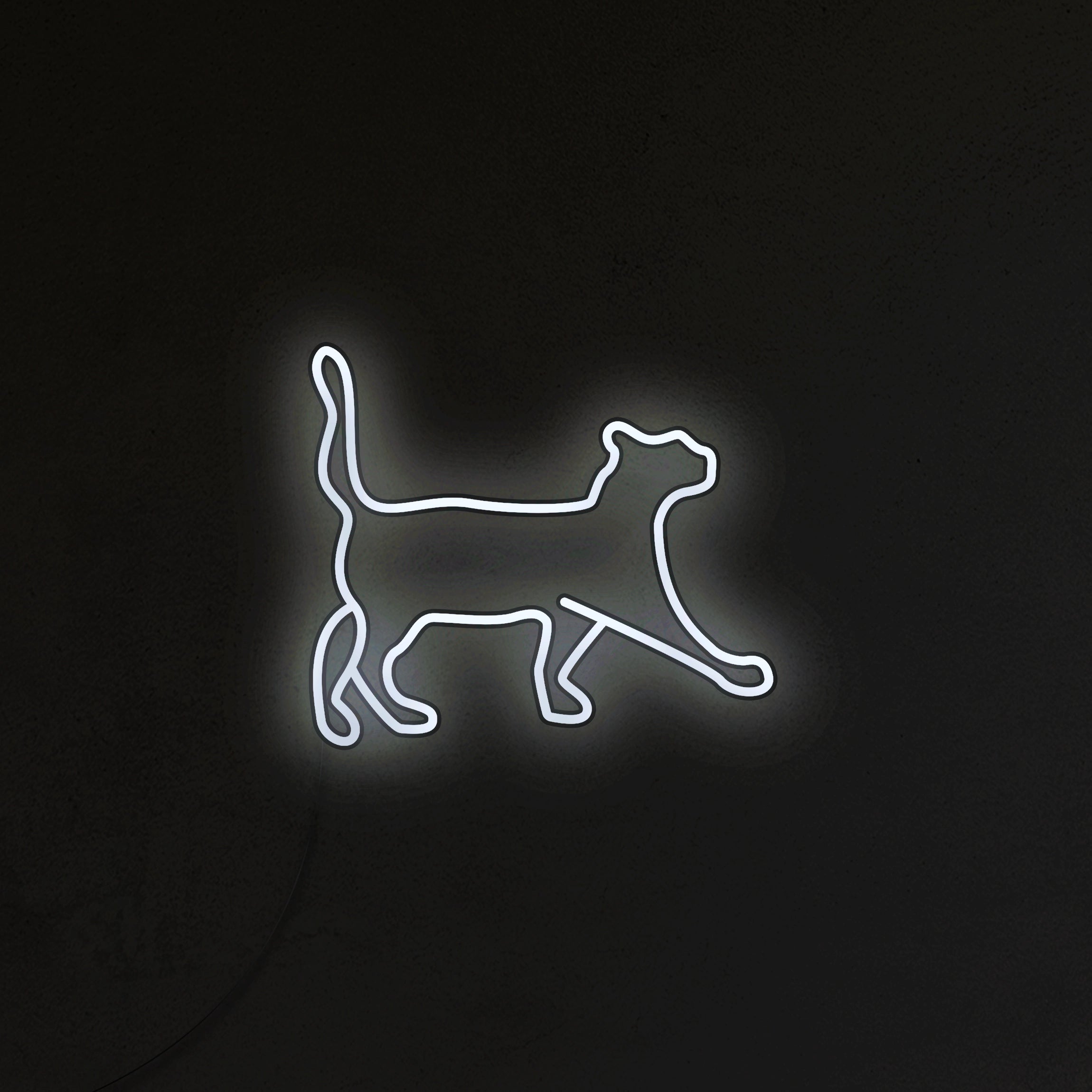 Kot Neon LED