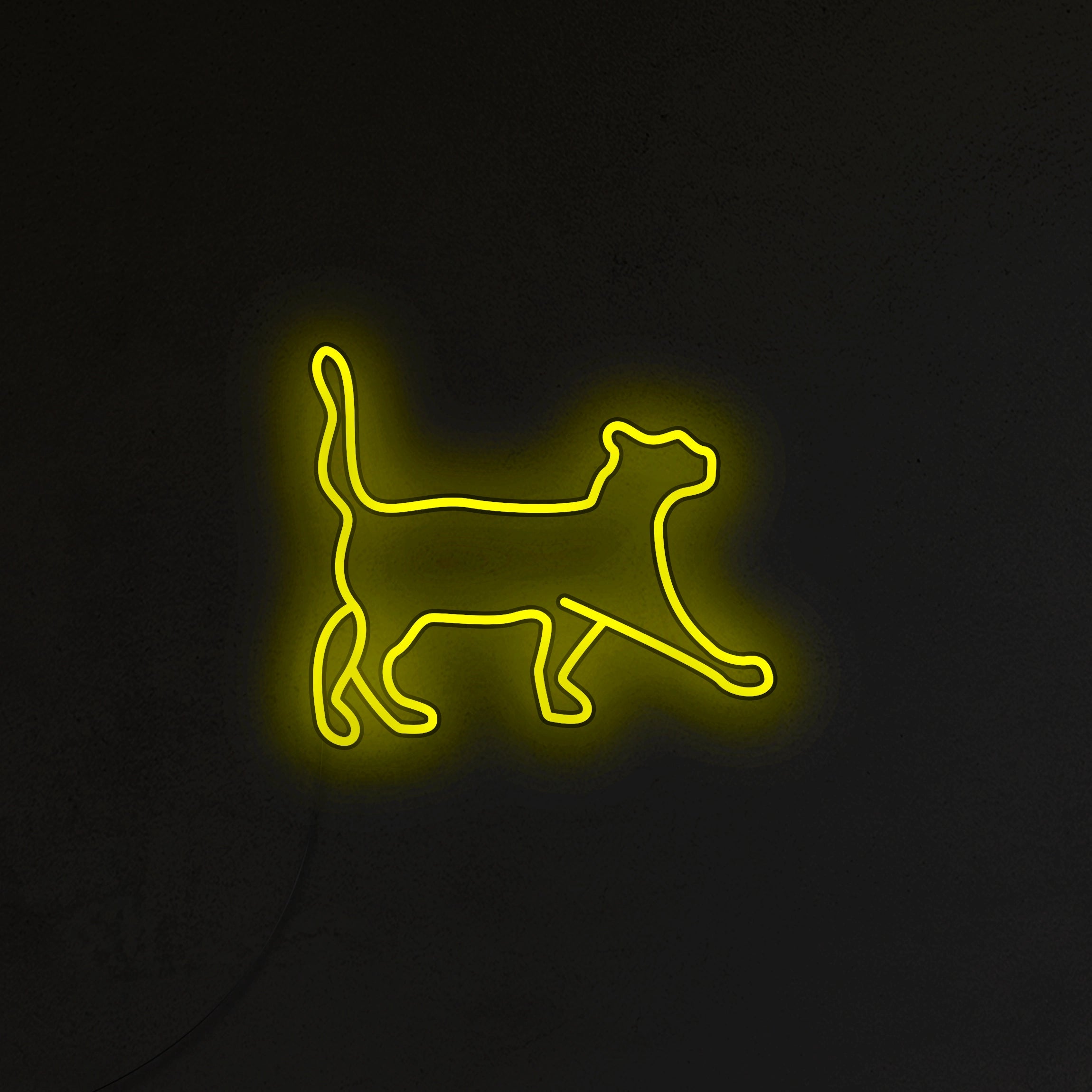 Kot Neon LED