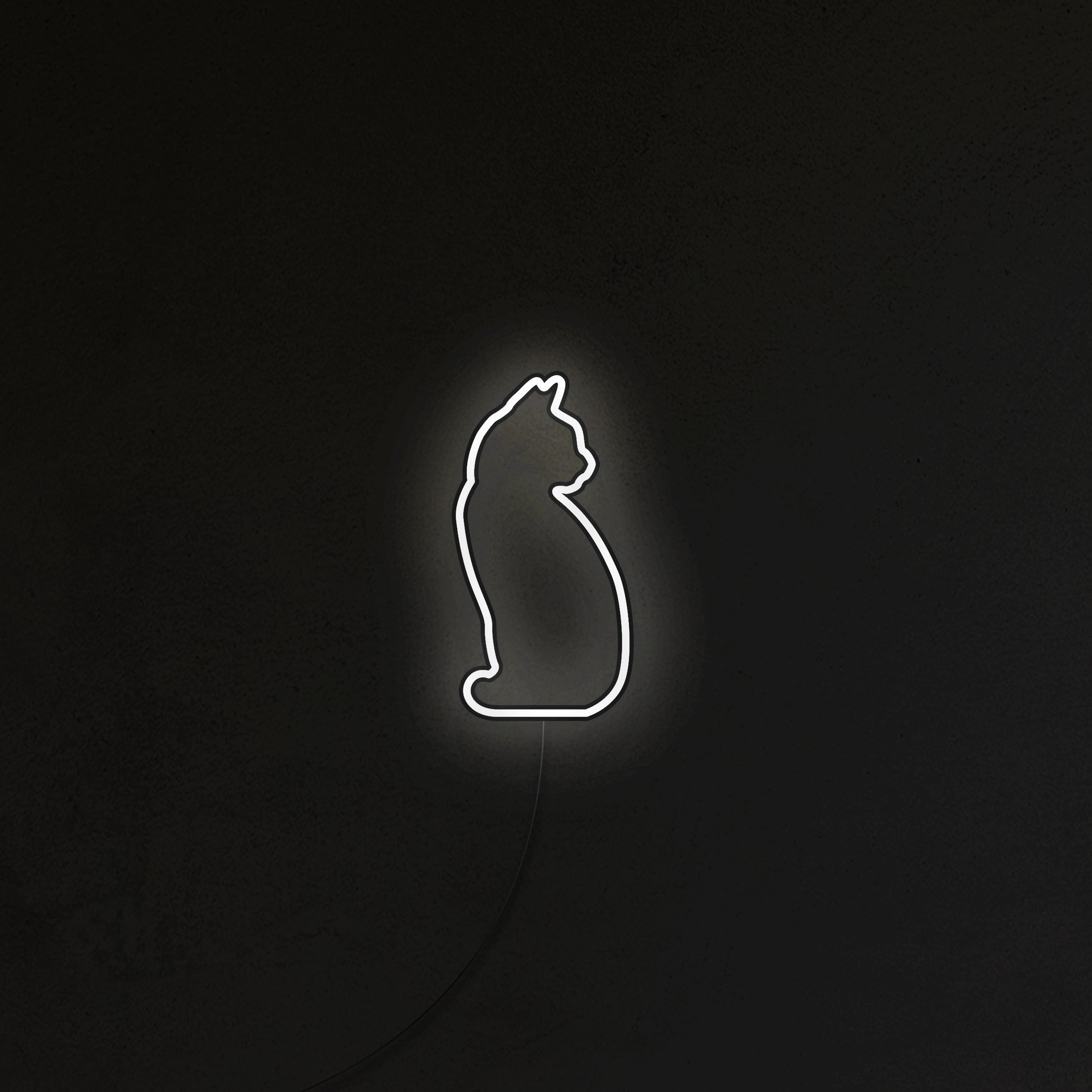 Kotek Neon LED