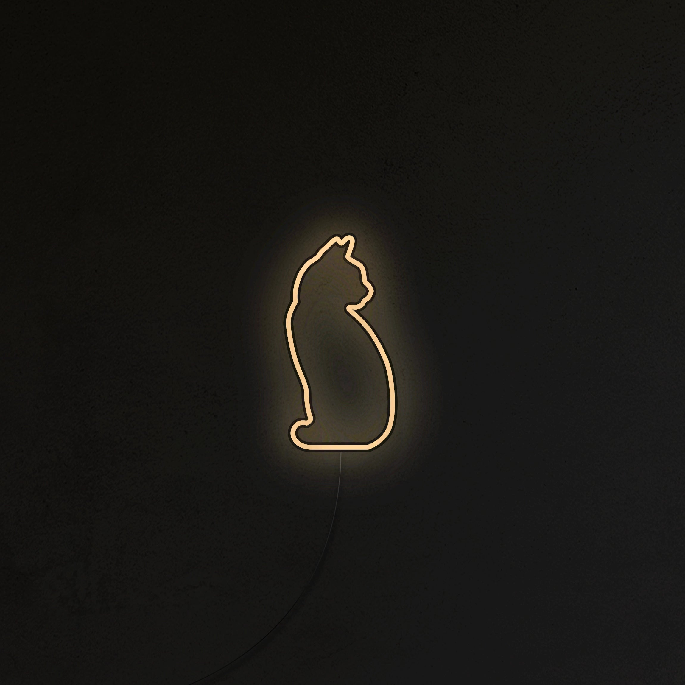 Kotek Neon LED