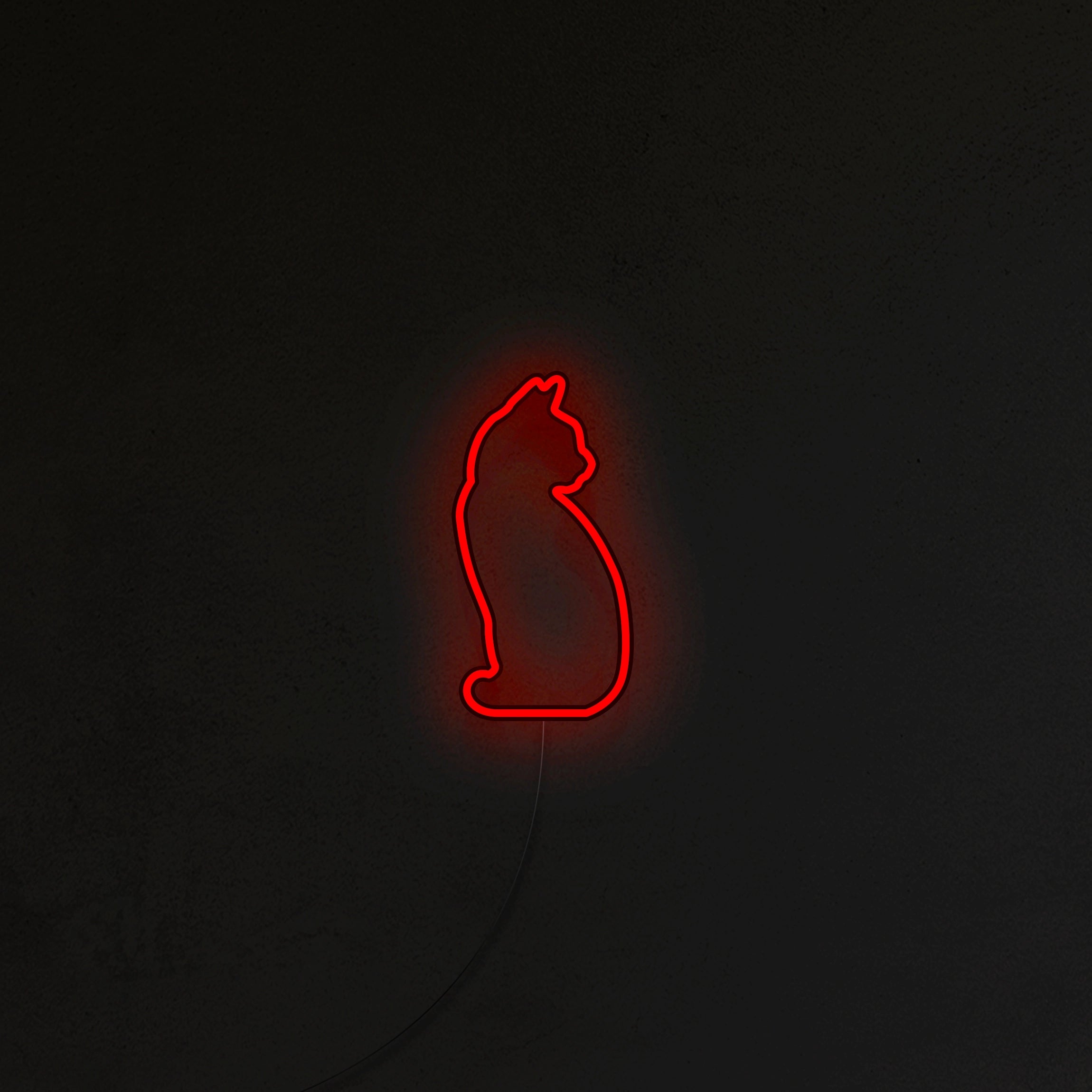 Kotek Neon LED