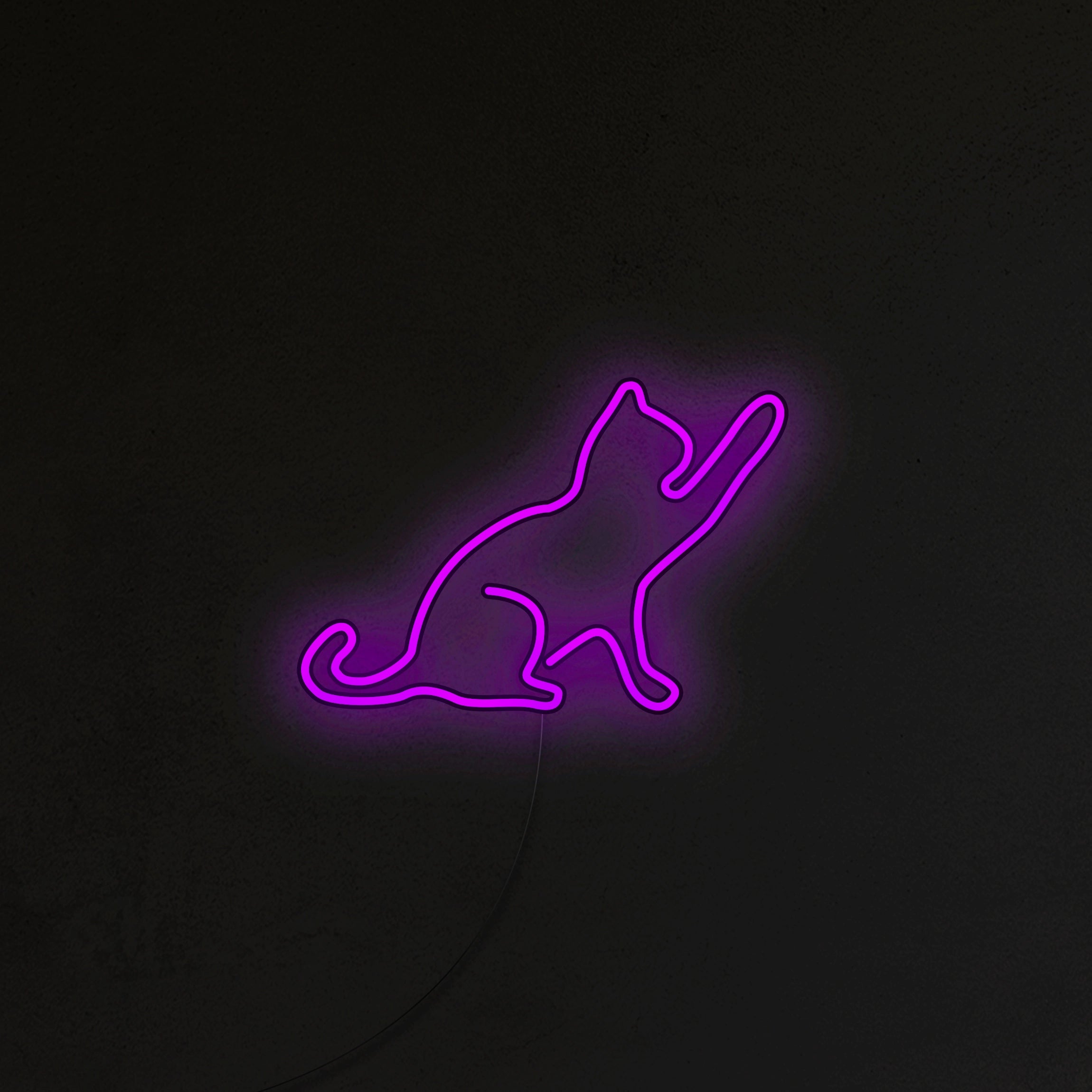 Kot Neon LED