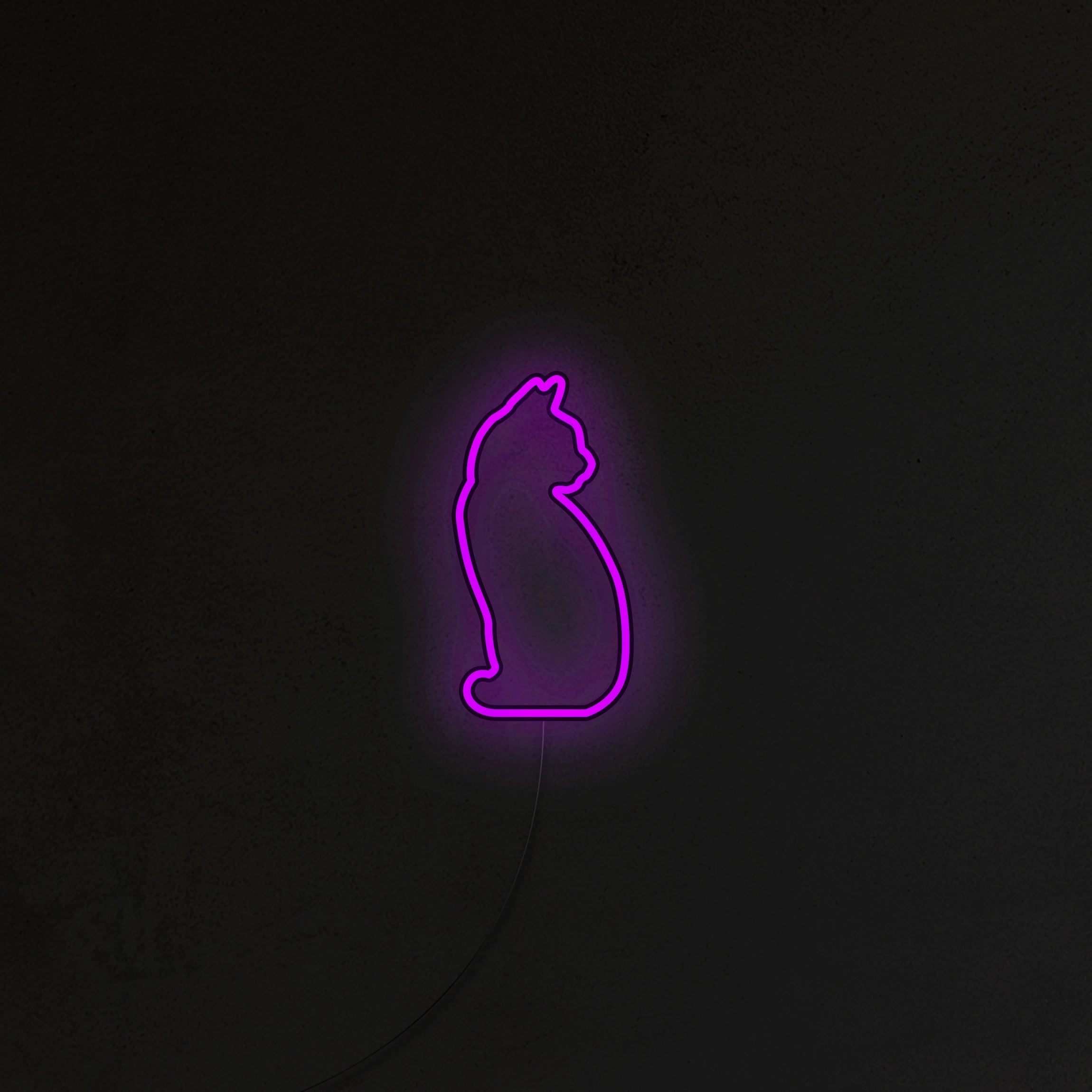 Kotek Neon LED