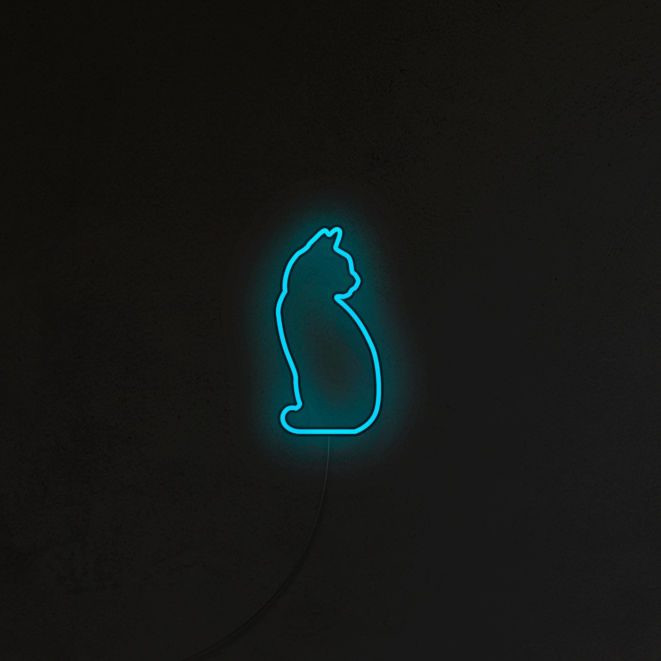 Kotek Neon LED