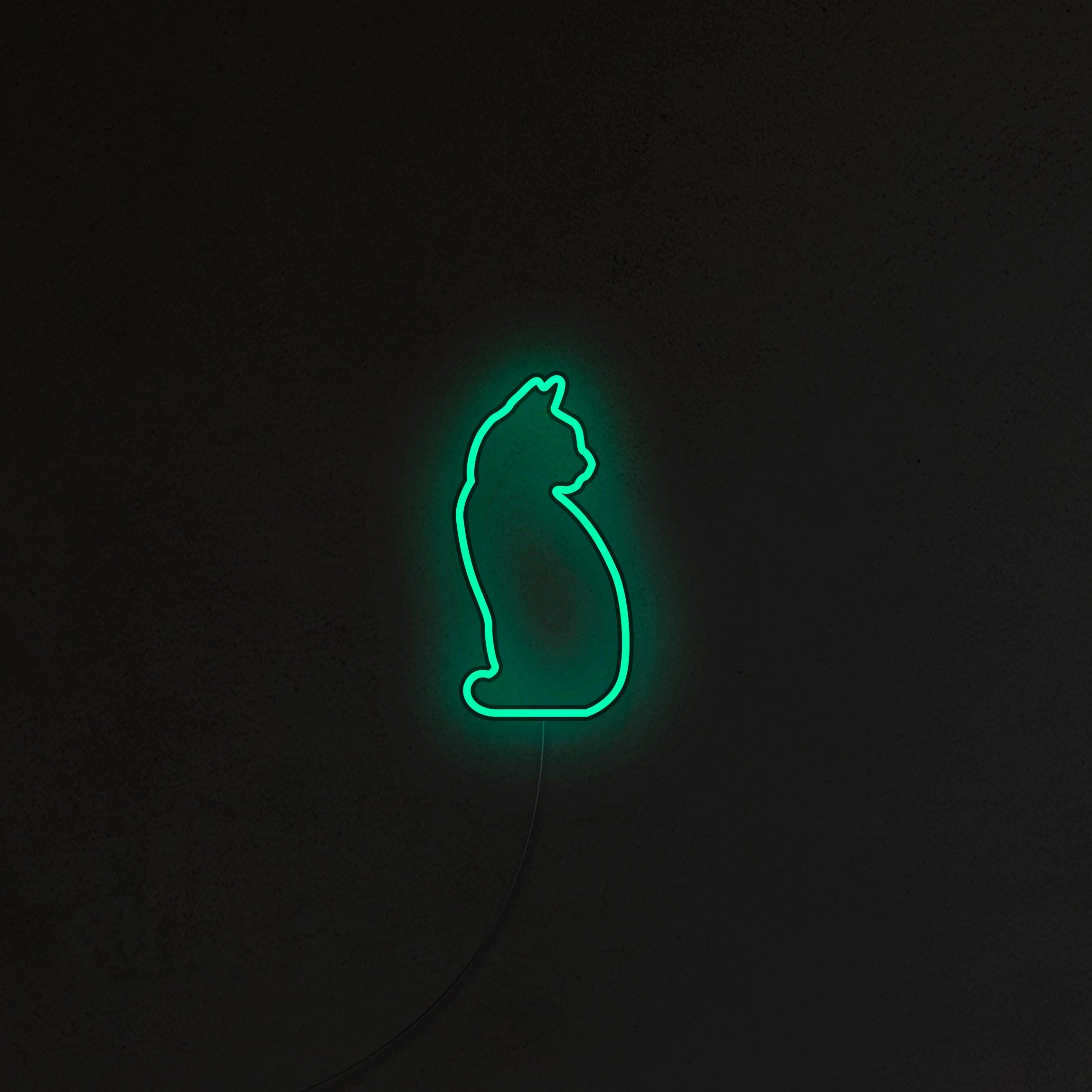 Kotek Neon LED