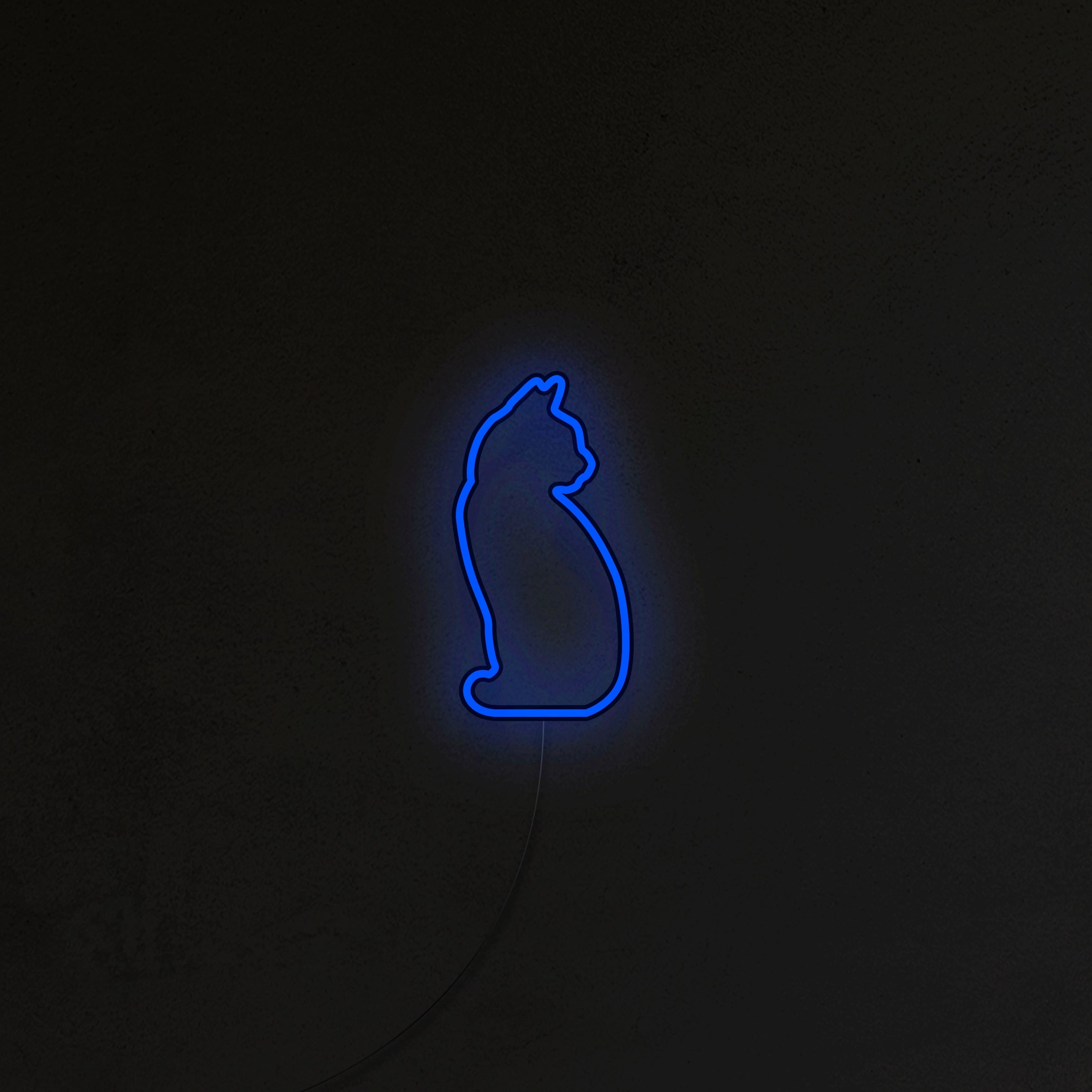 Kotek Neon LED