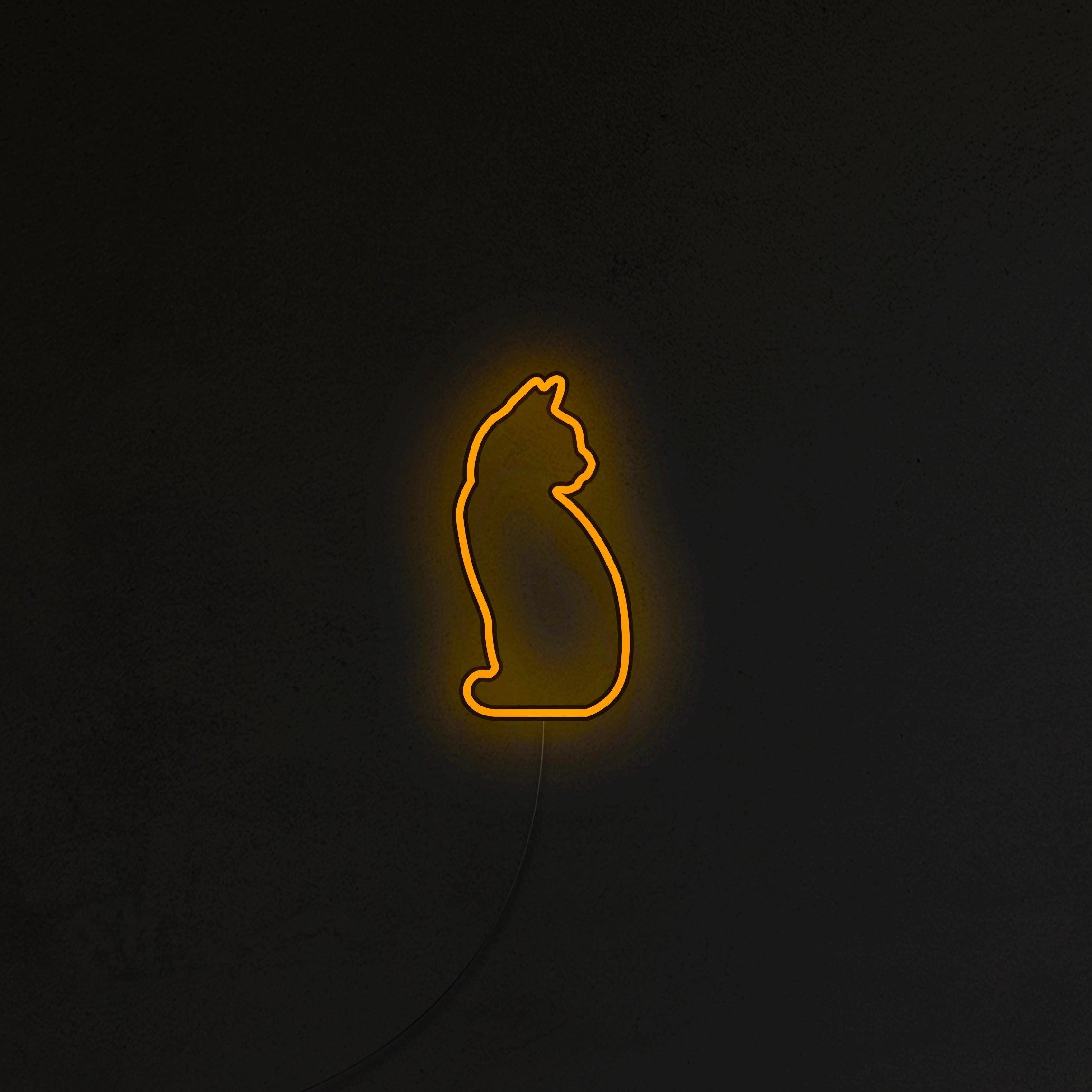 Kotek Neon LED