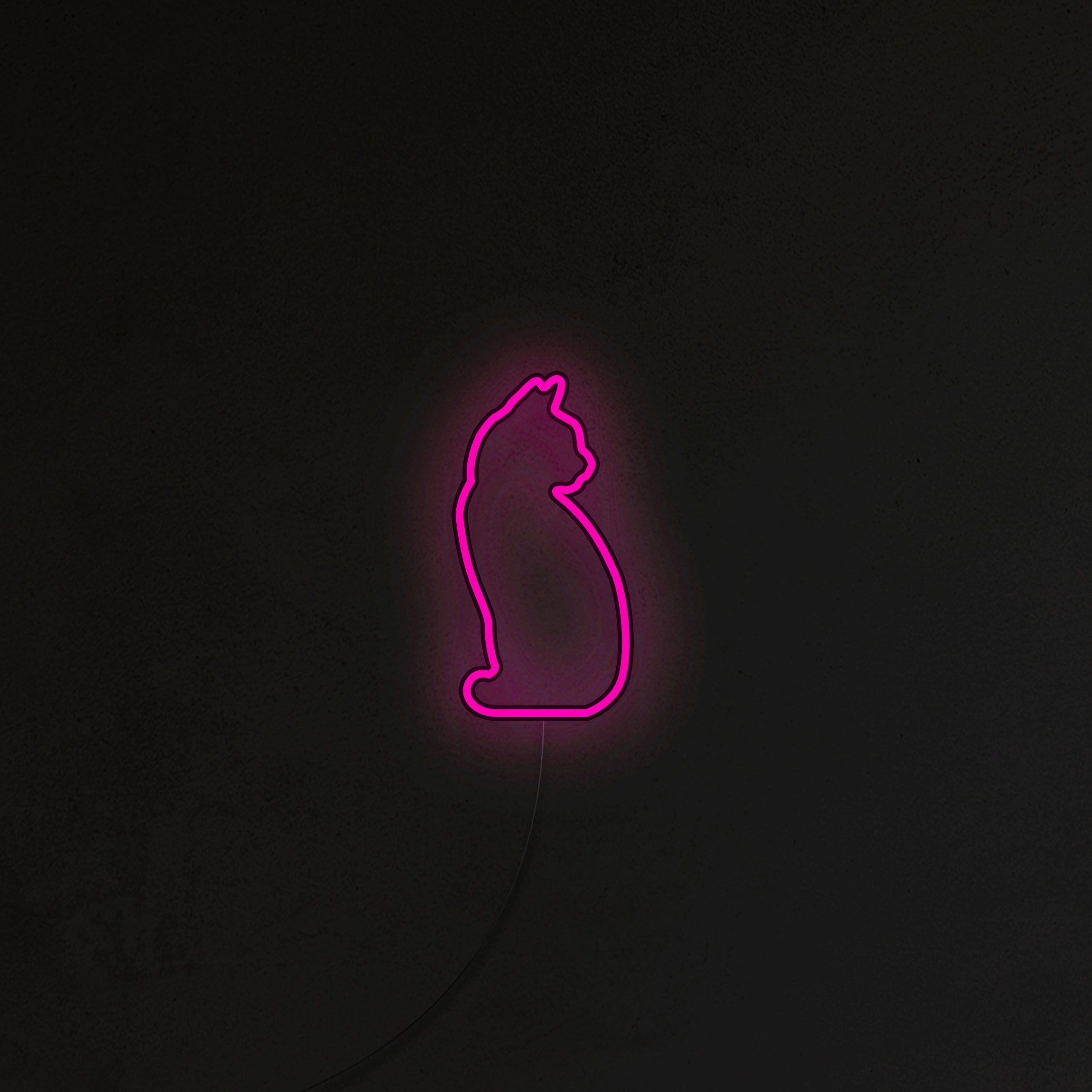 Kotek Neon LED