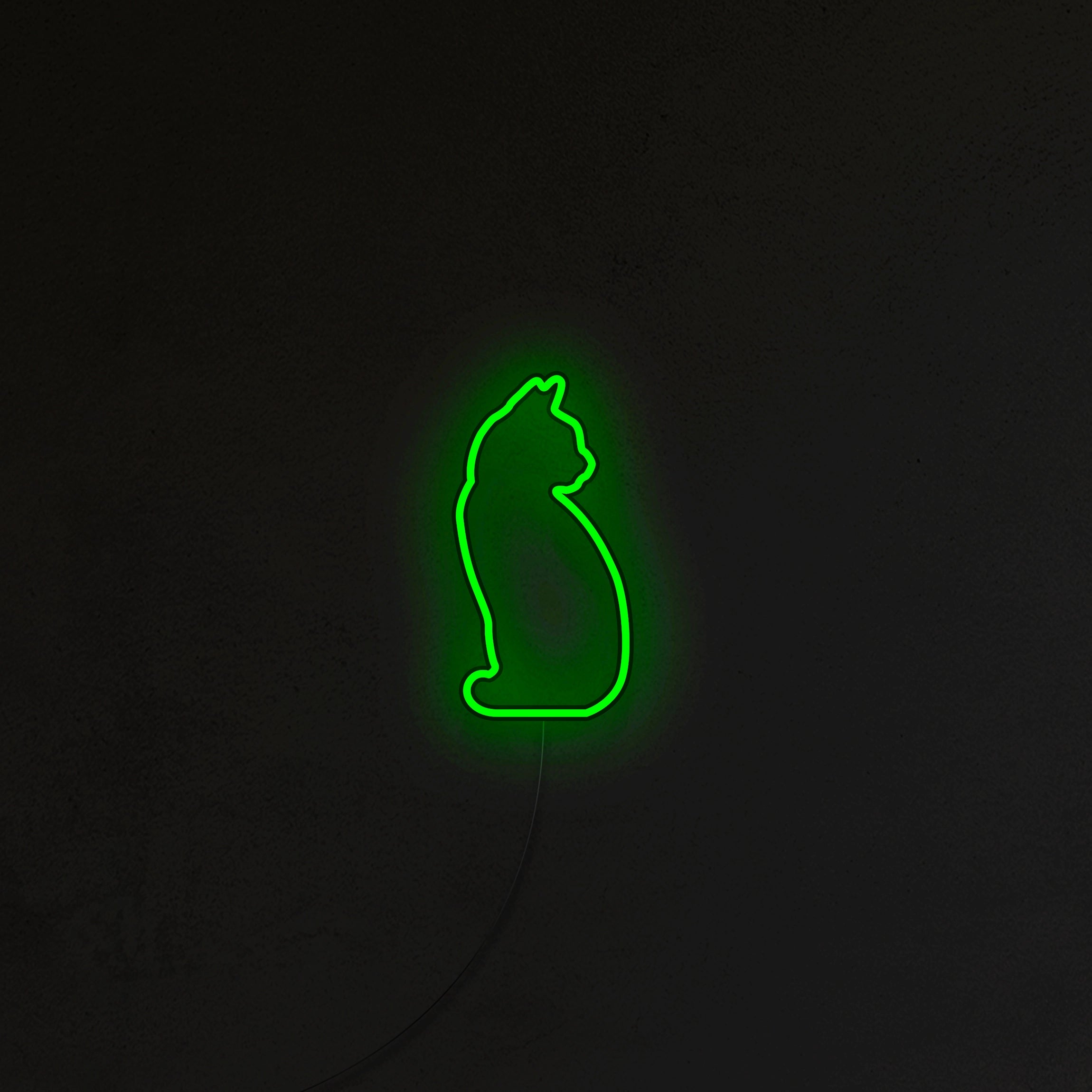 Kotek Neon LED