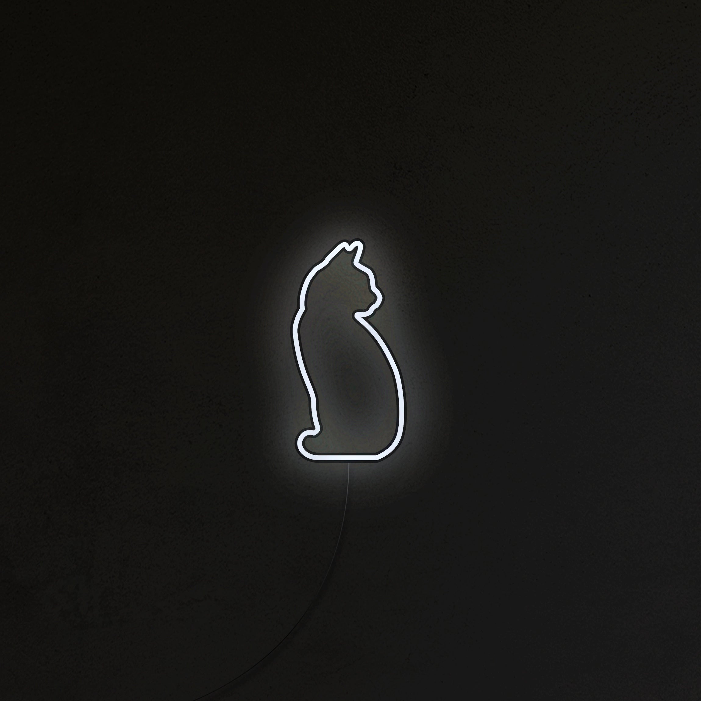 Kotek Neon LED