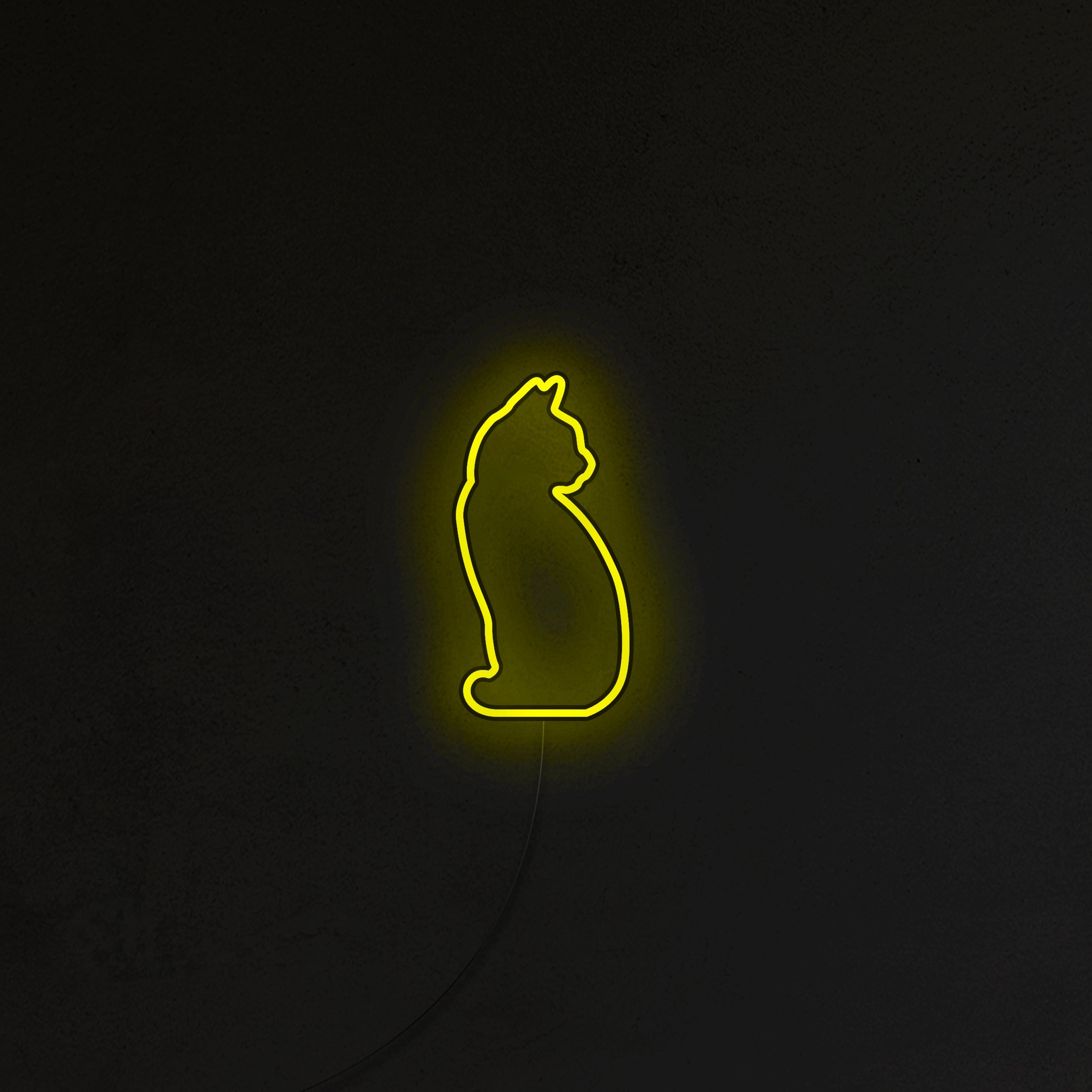 Kotek Neon LED