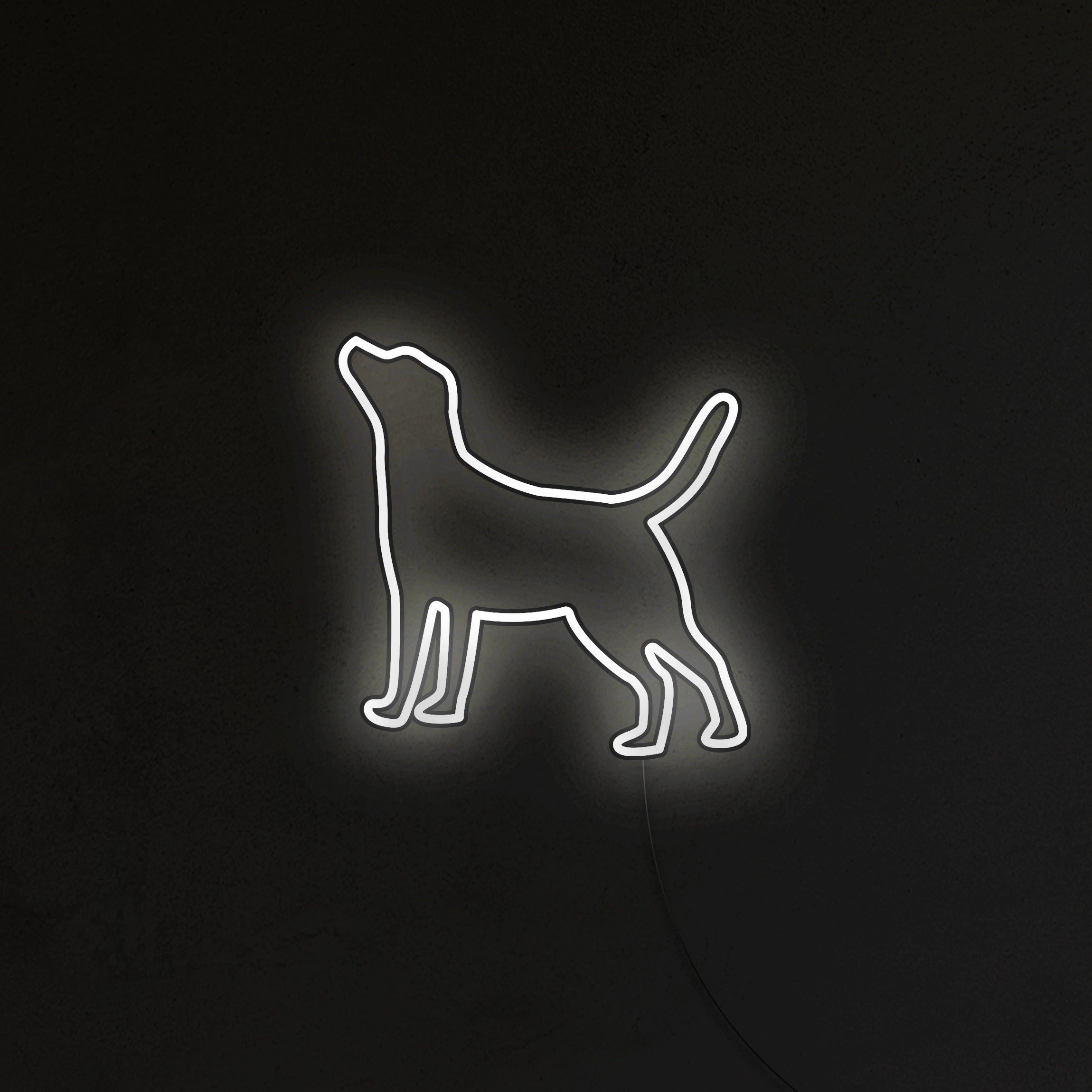 Labrador Neon LED