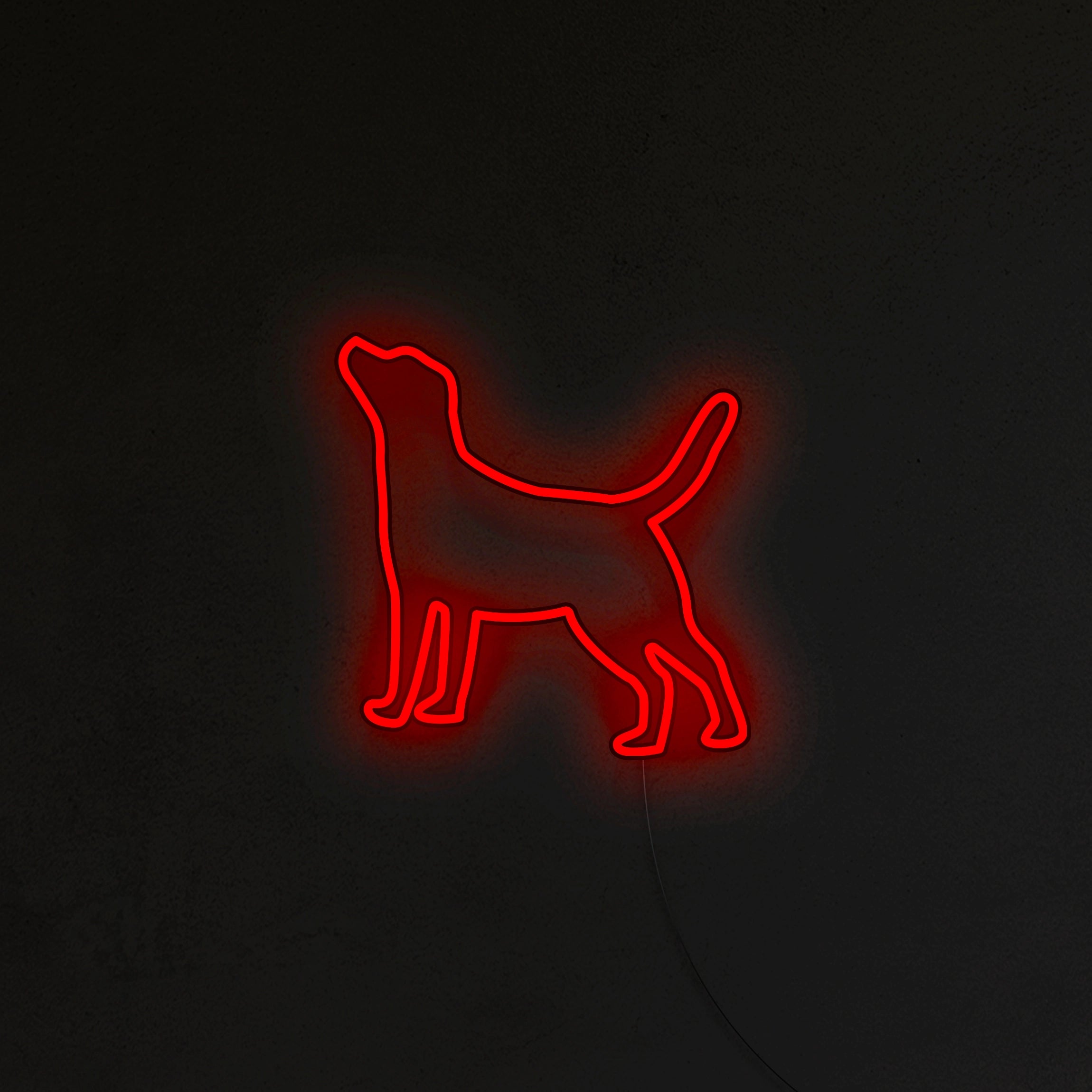 Labrador Neon LED