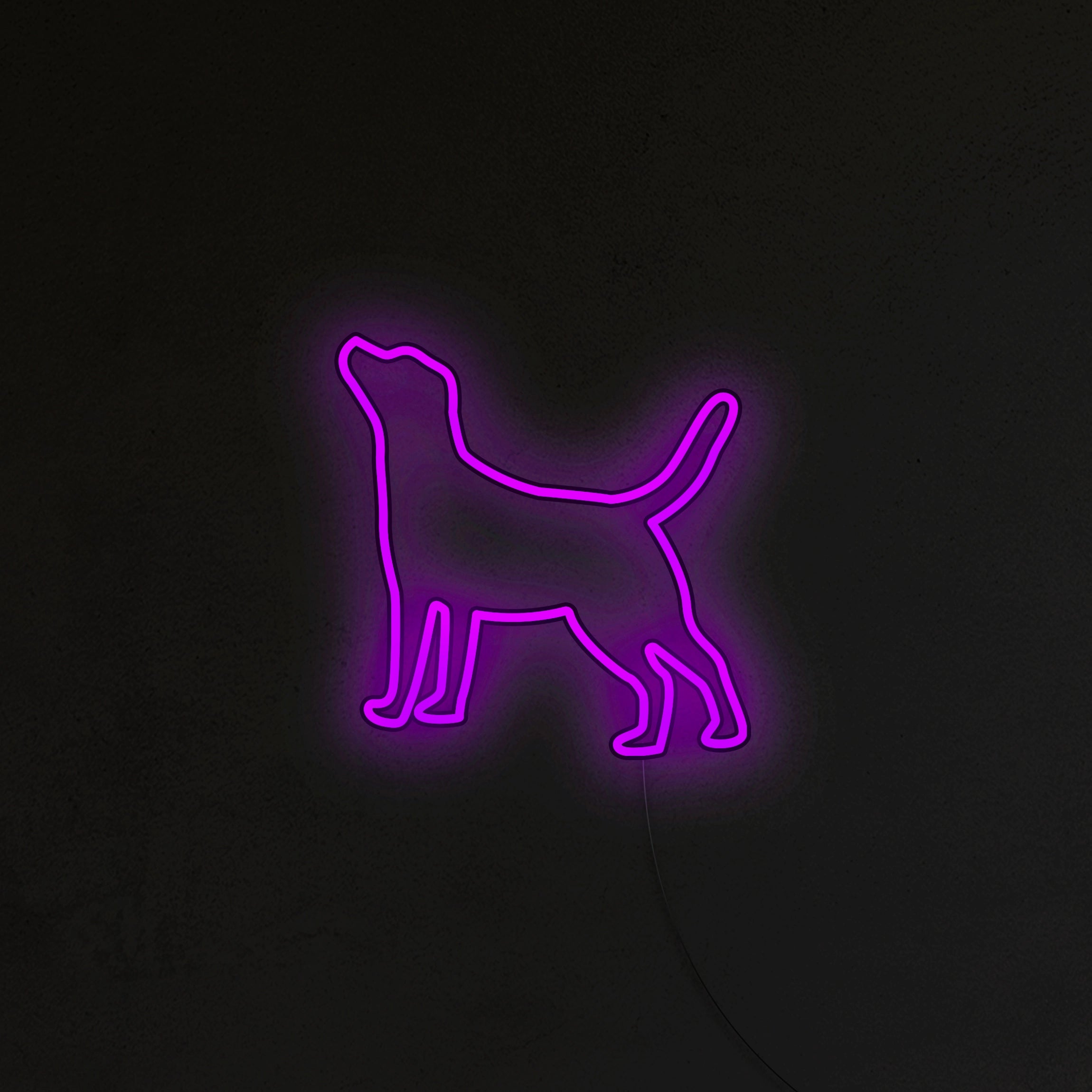 Labrador Neon LED