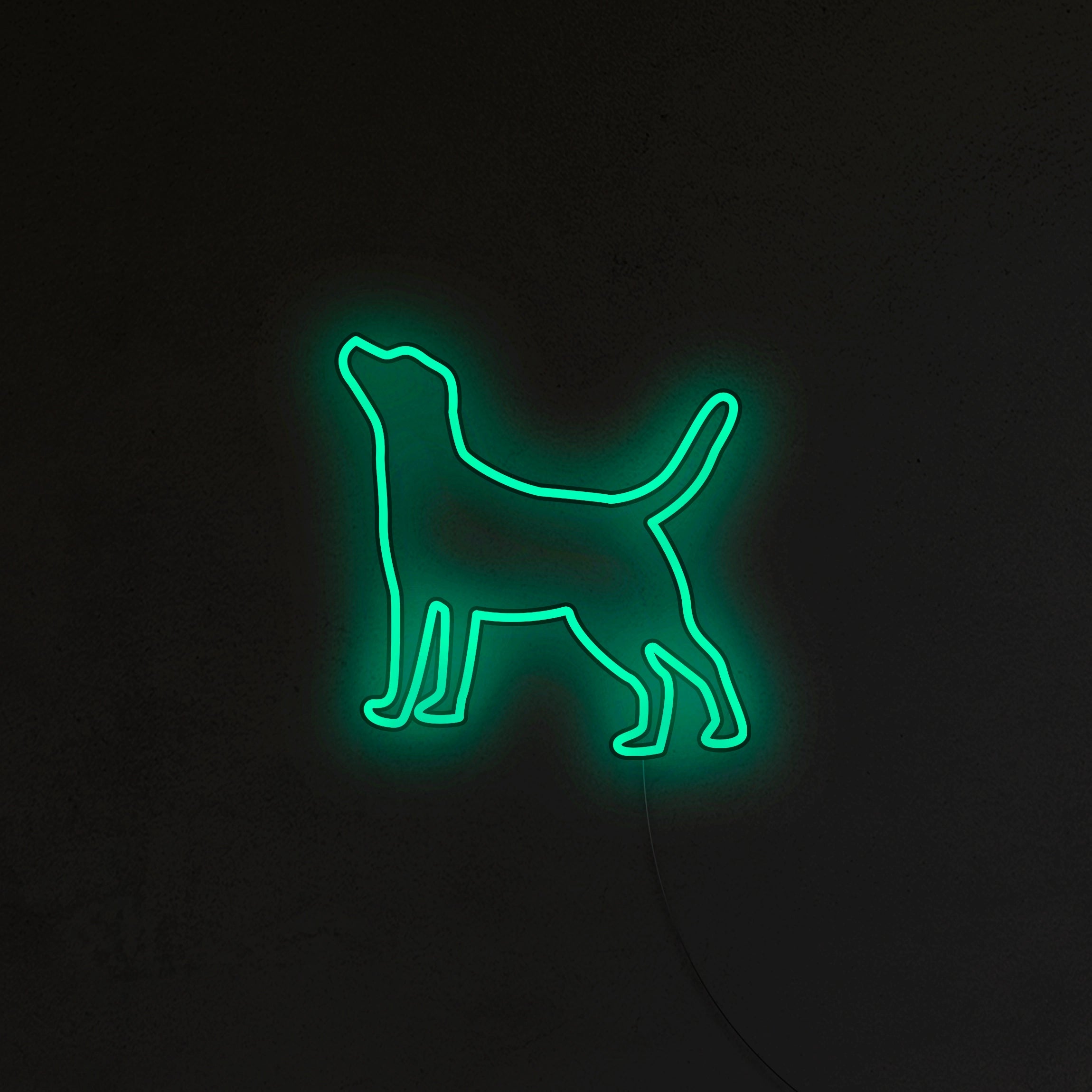 Labrador Neon LED