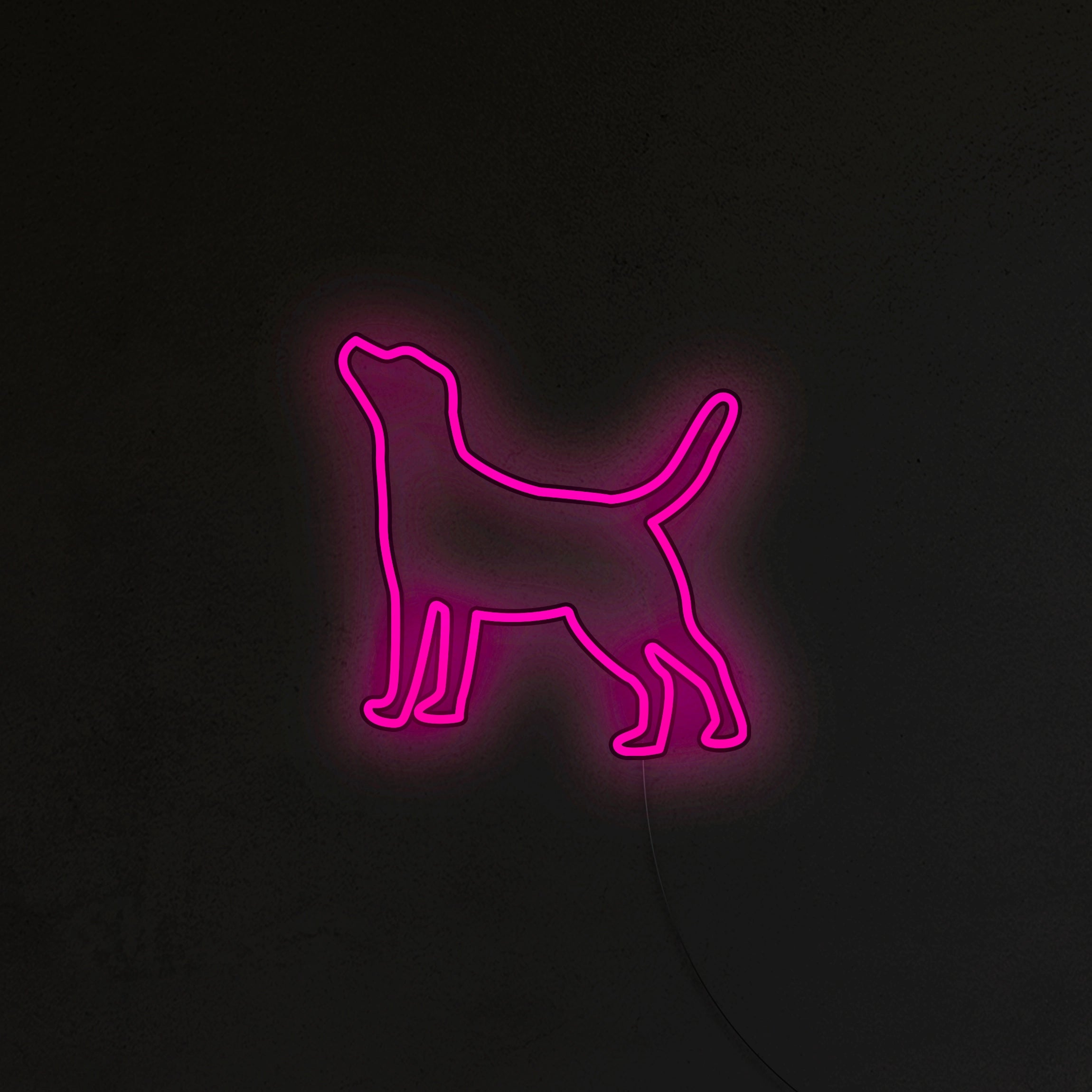 Labrador Neon LED