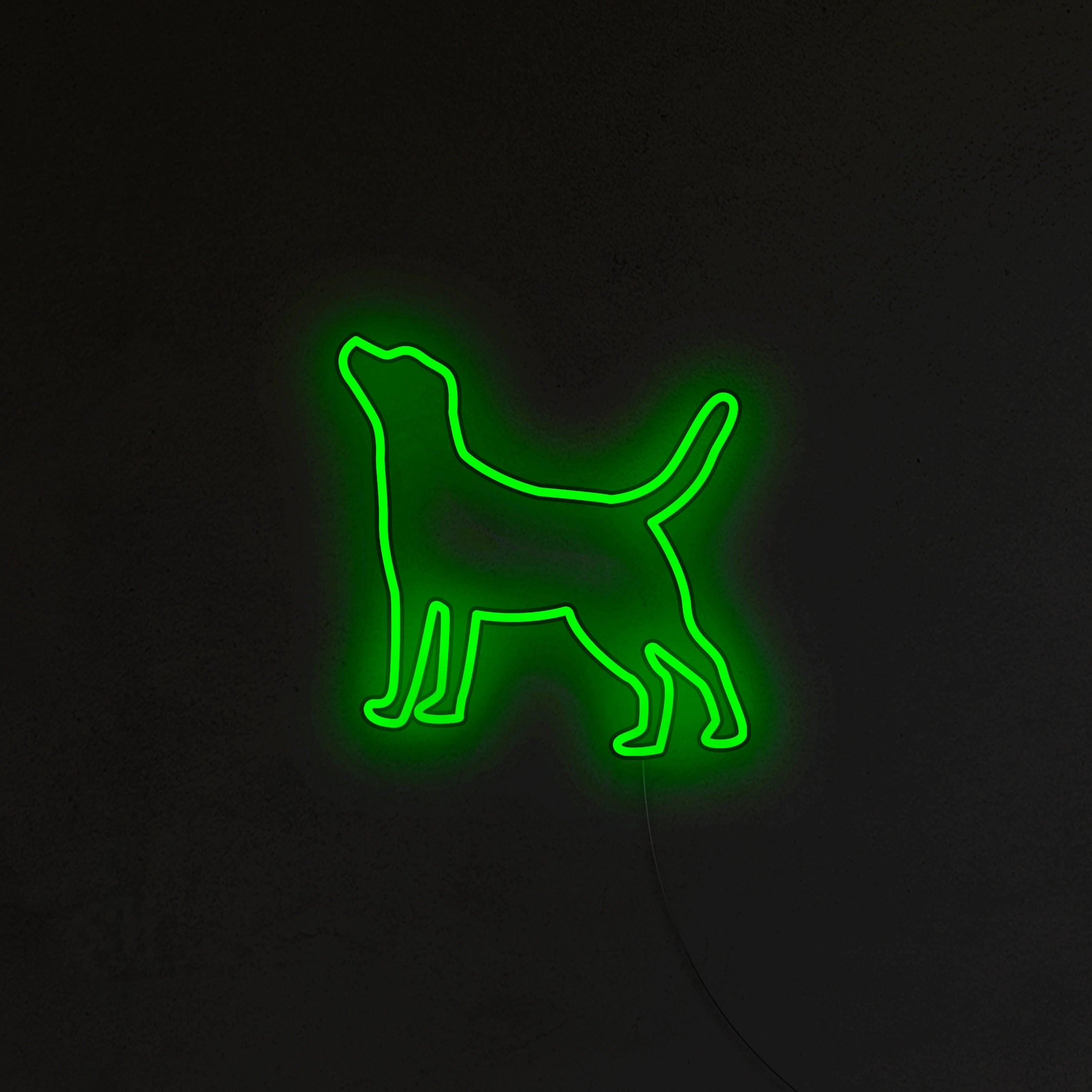 Labrador Neon LED