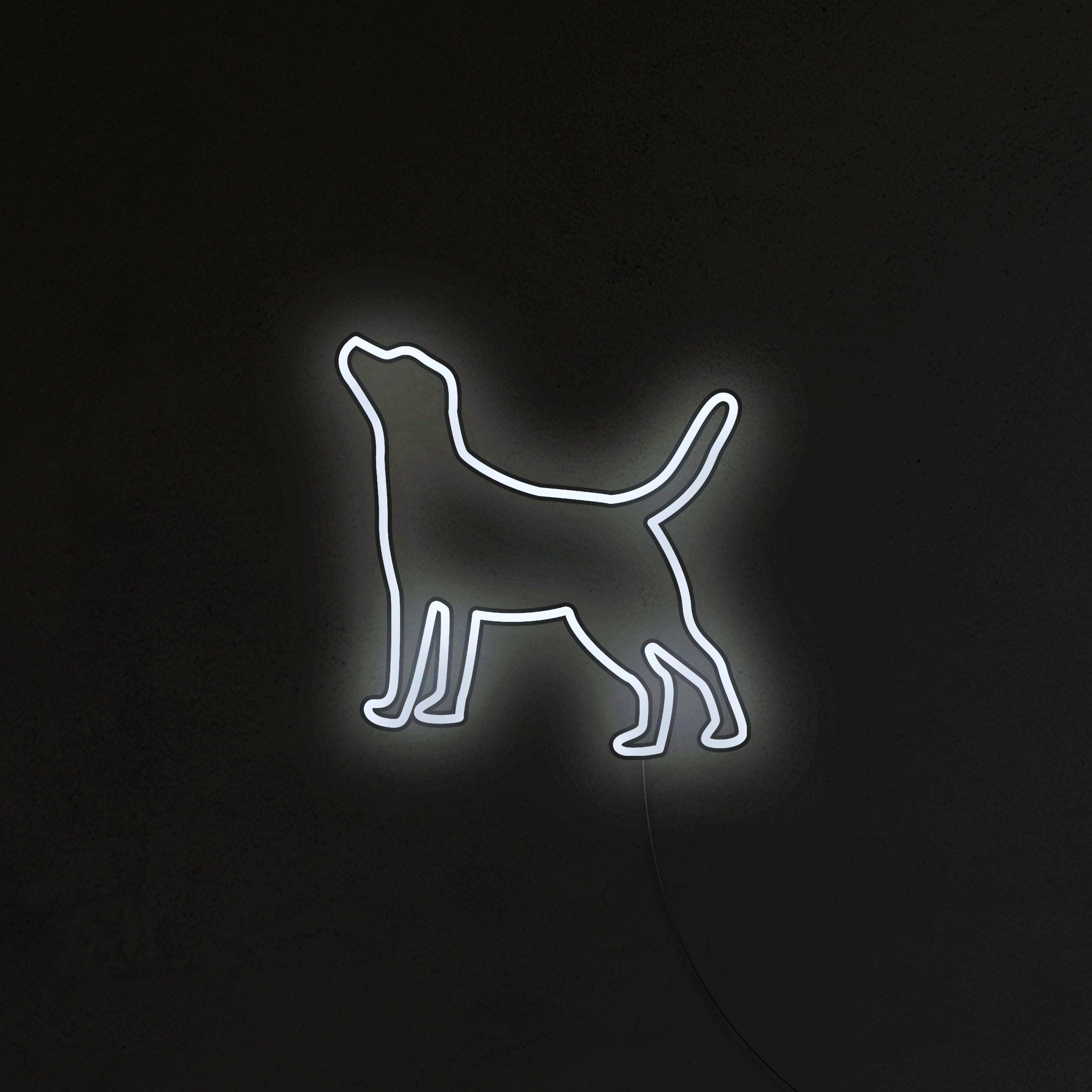 Labrador Neon LED