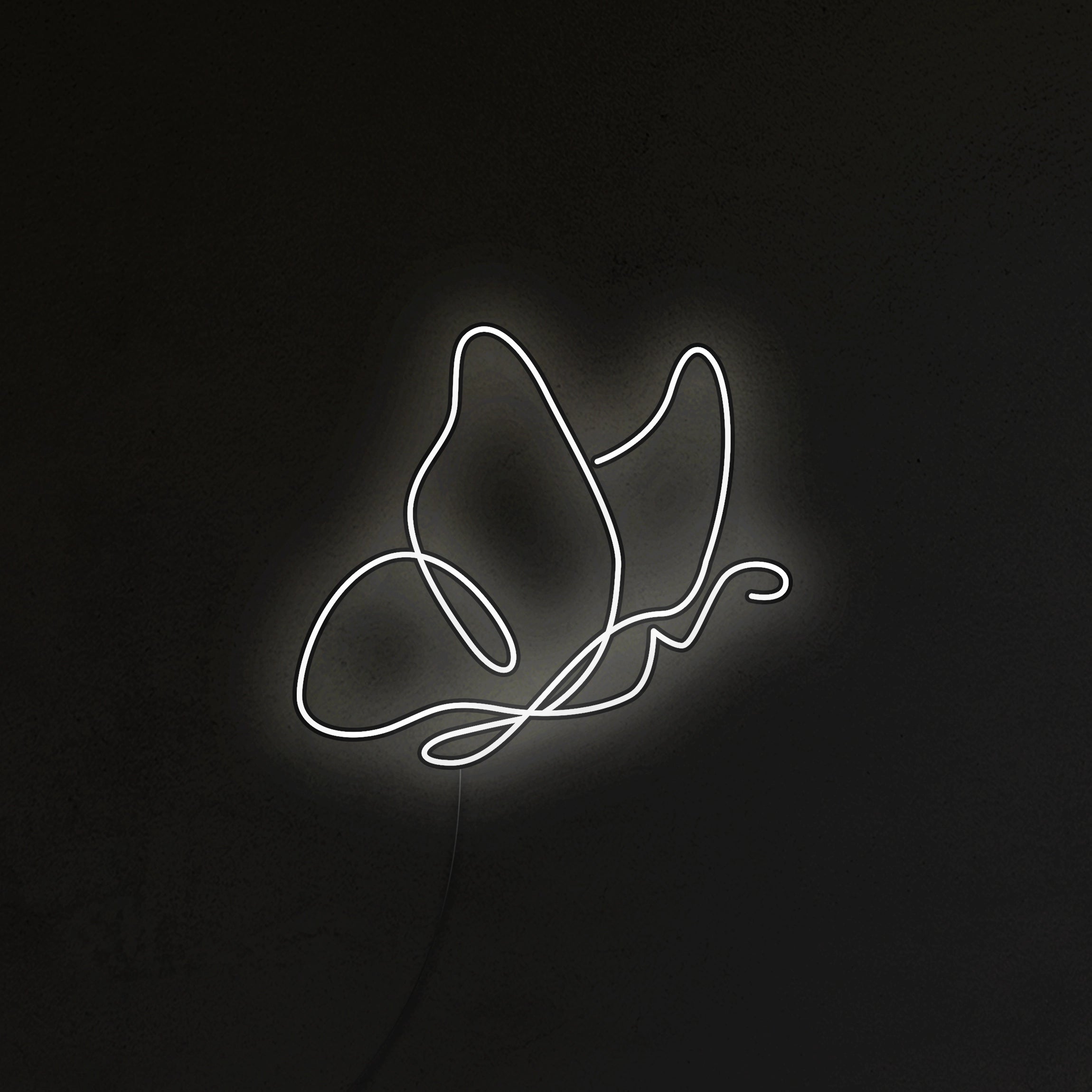 Motyl Neon LED