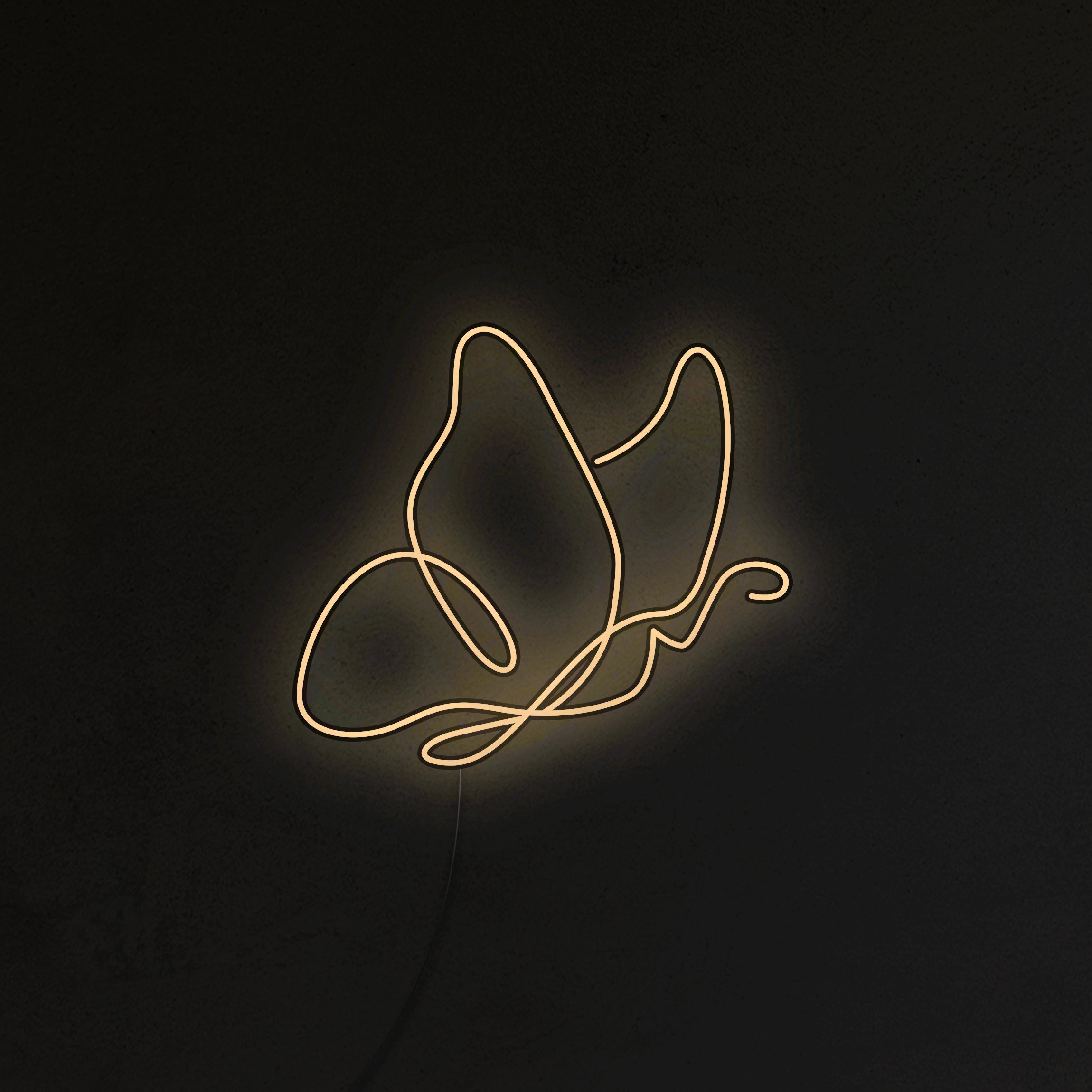 Motyl Neon LED