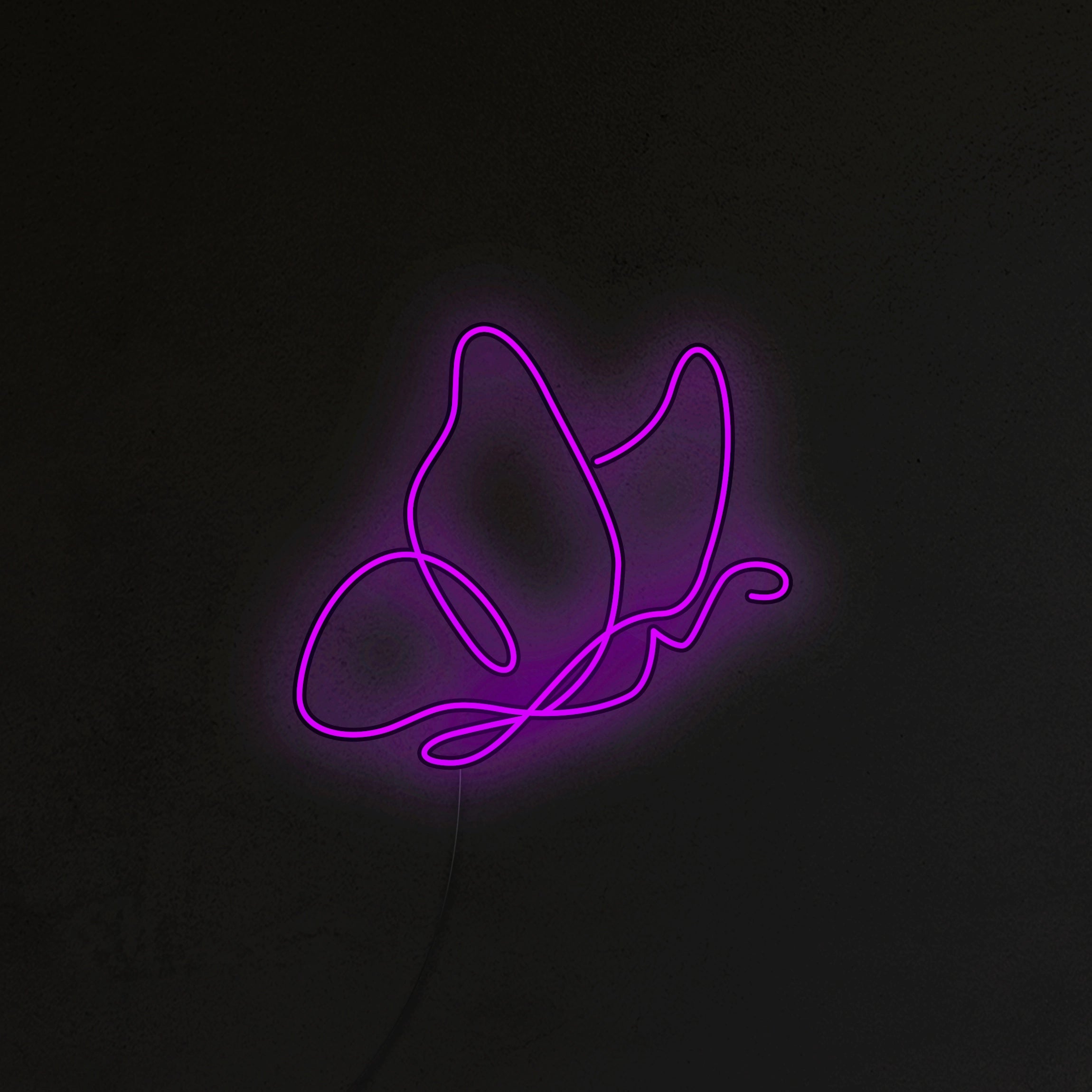 Motyl Neon LED