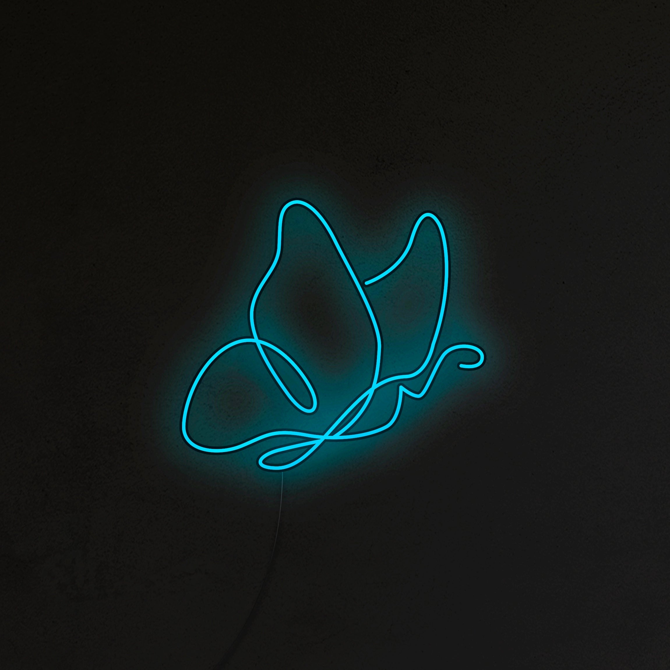 Motyl Neon LED