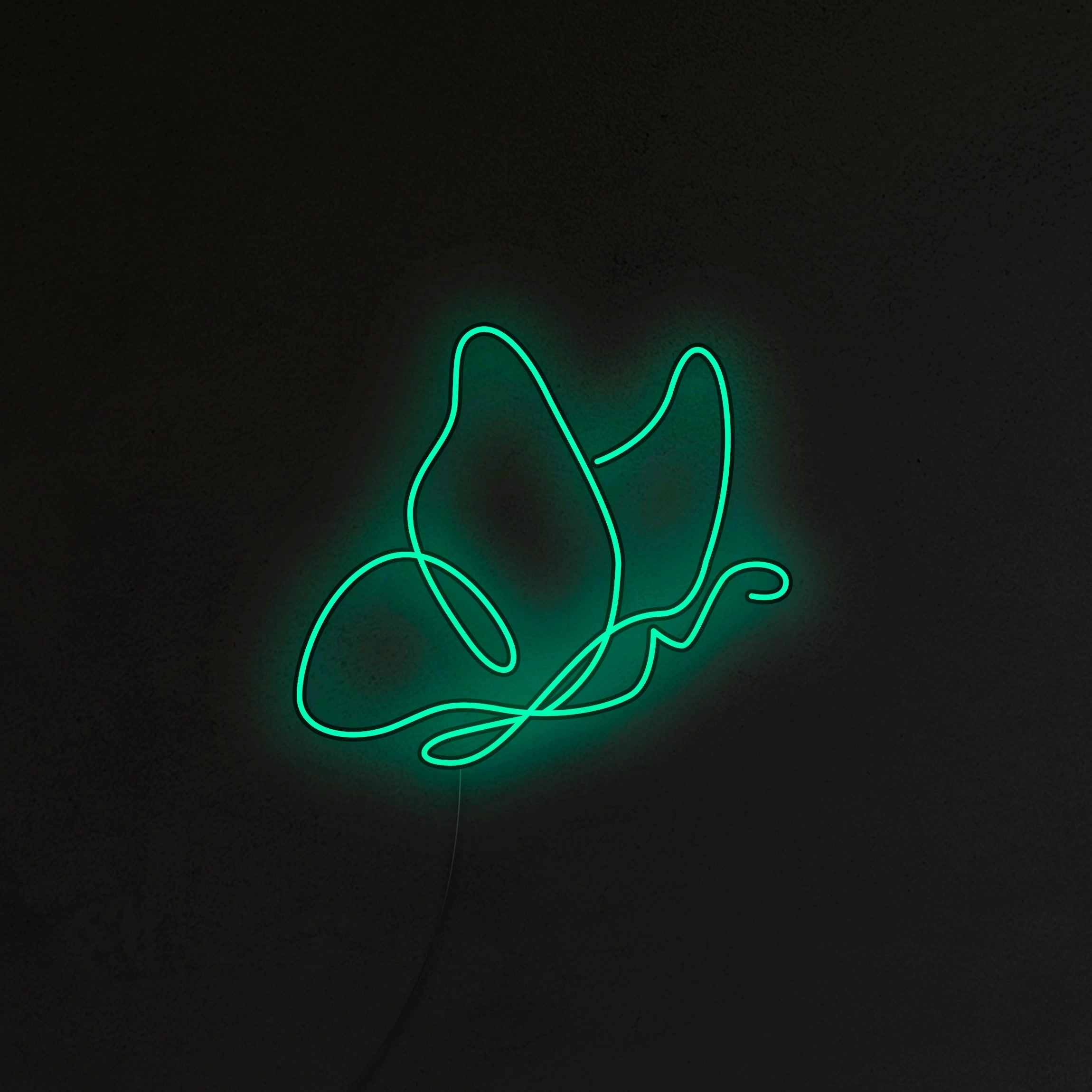 Motyl Neon LED