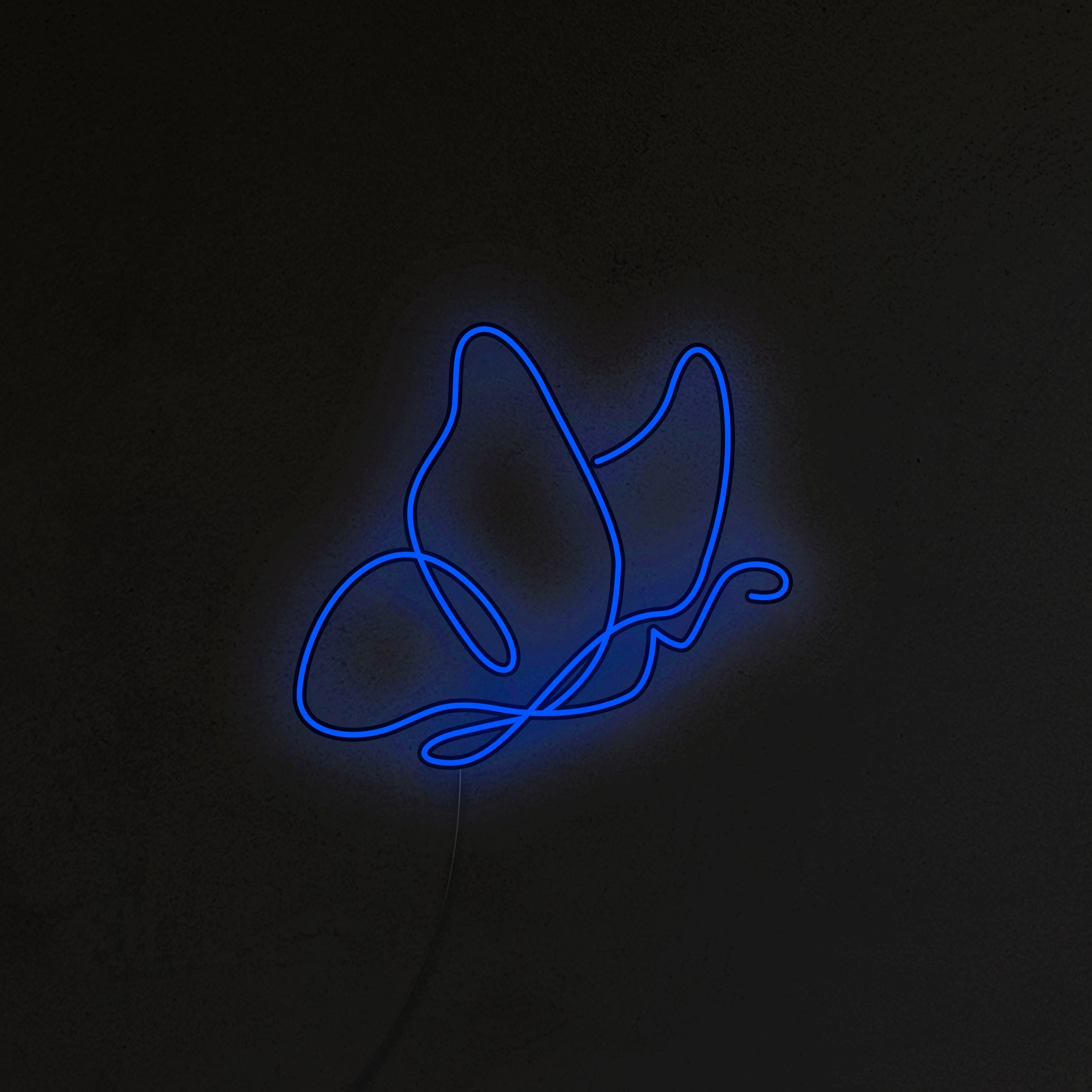 Motyl Neon LED