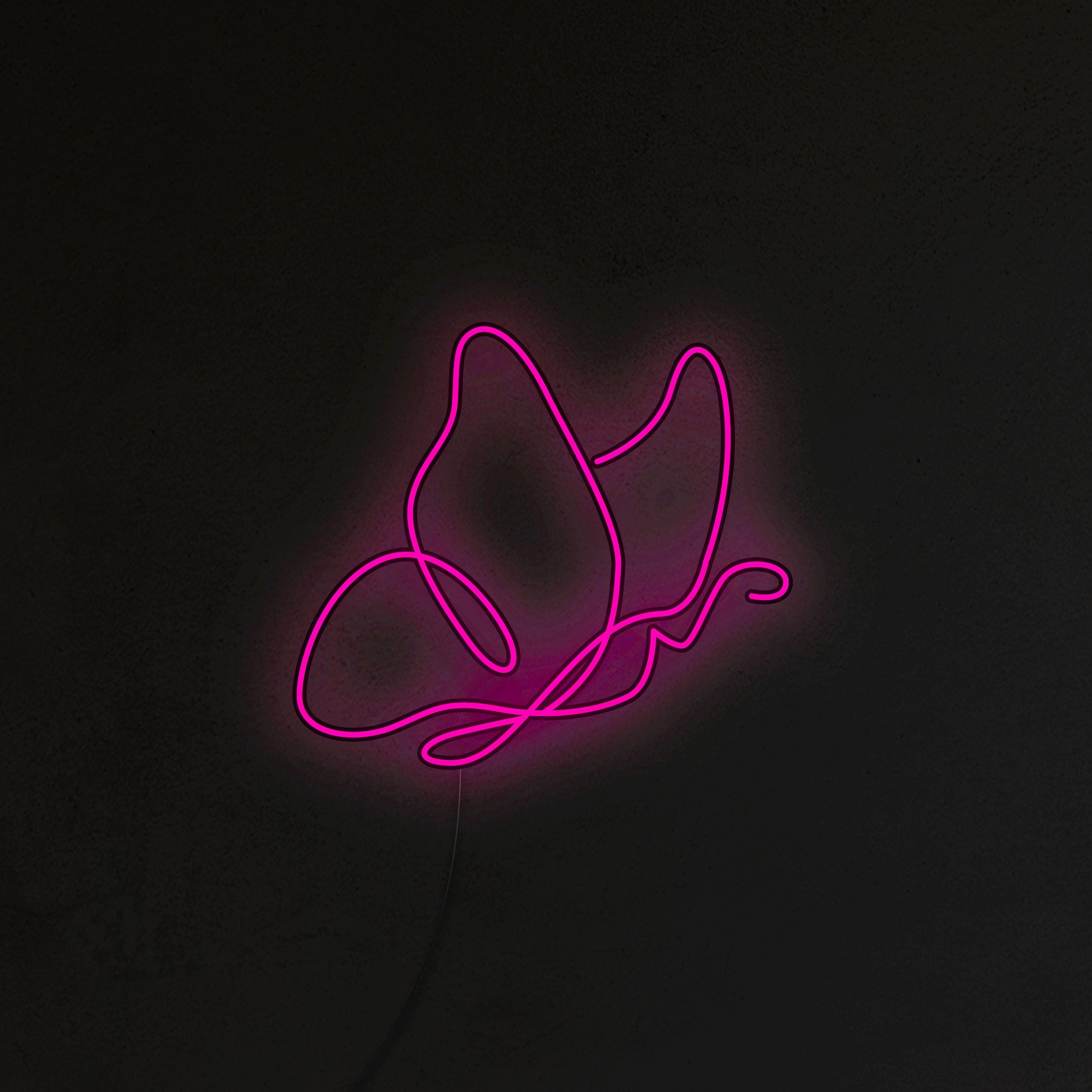 Motyl Neon LED