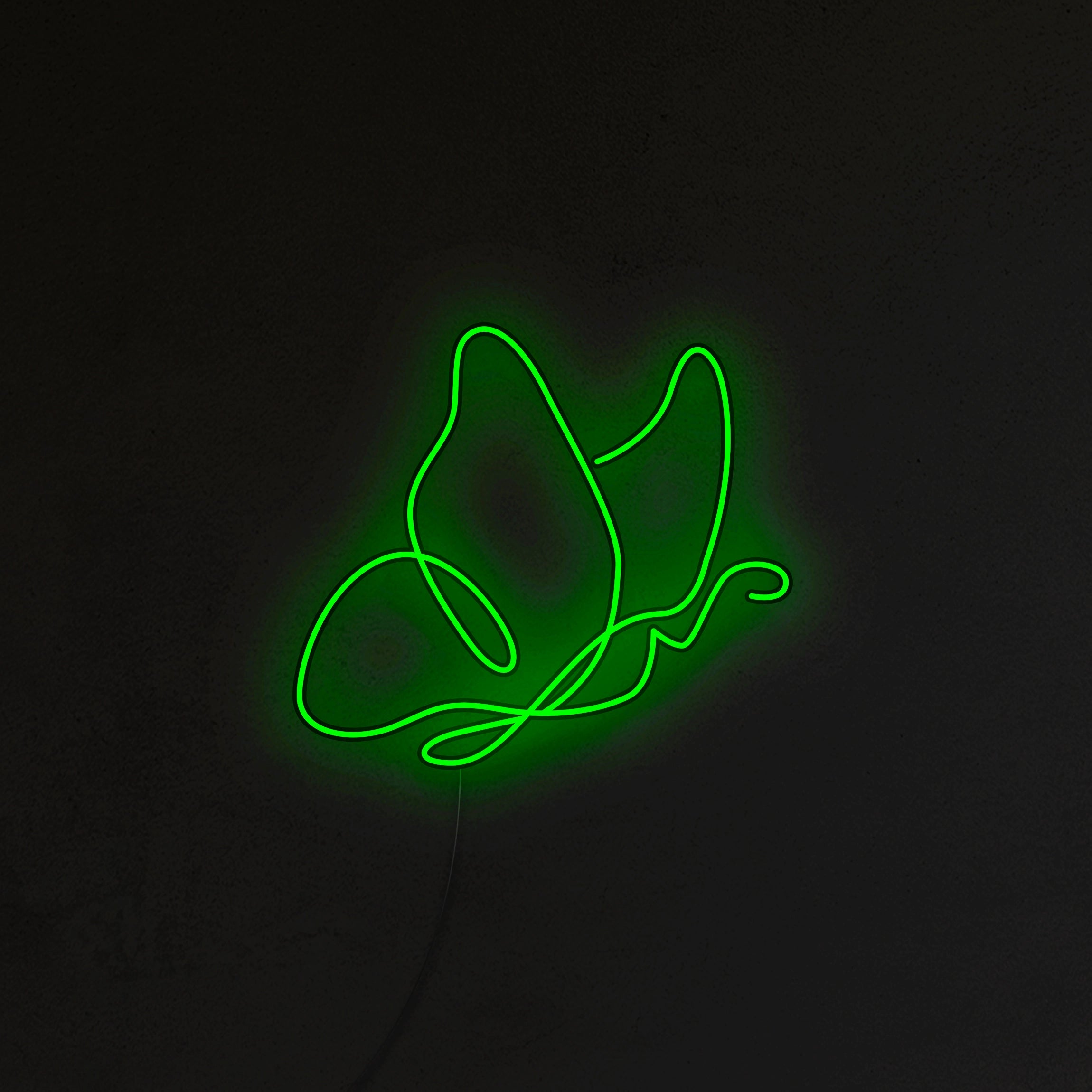 Motyl Neon LED