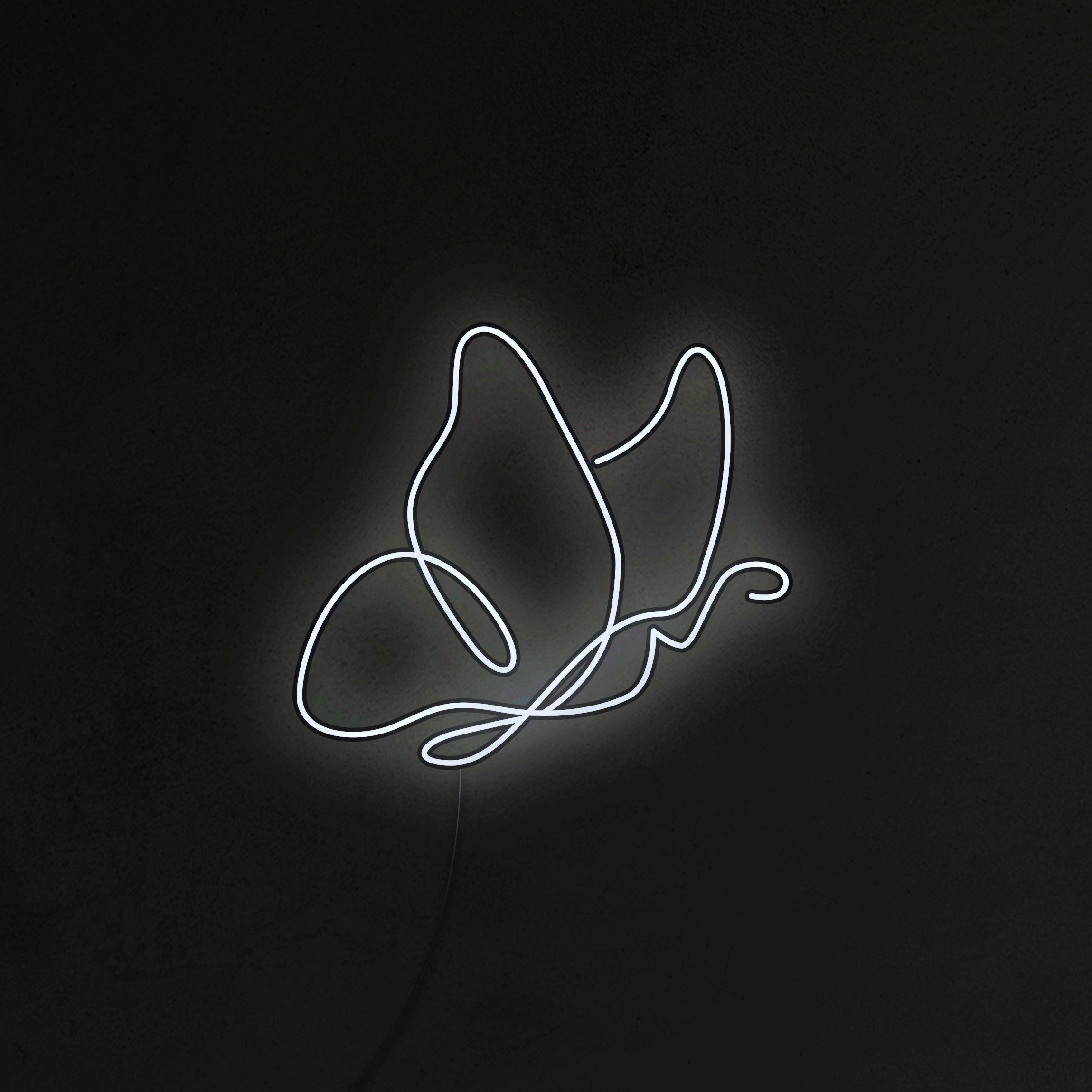 Motyl Neon LED
