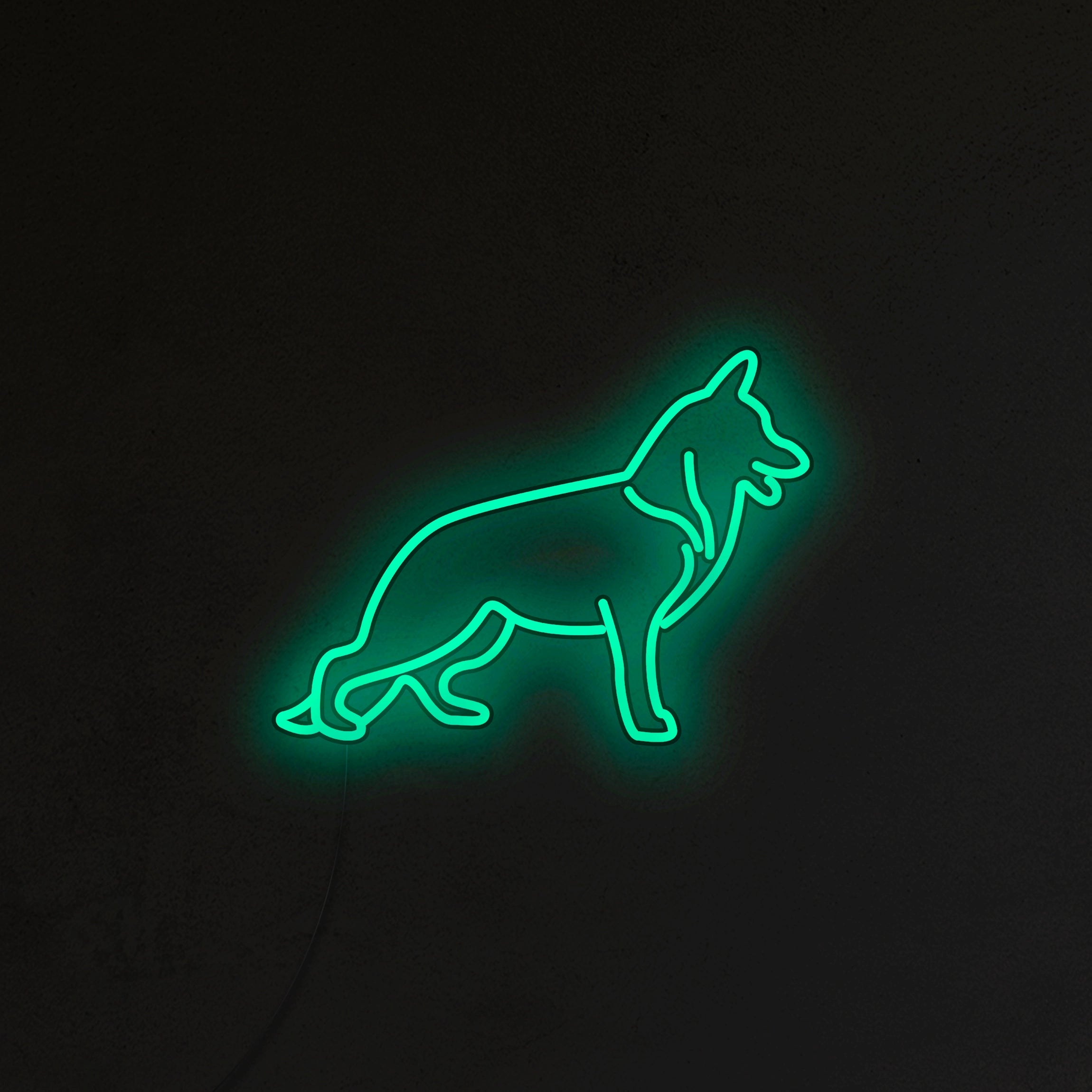 Owczarek Niemiecki Neon LED