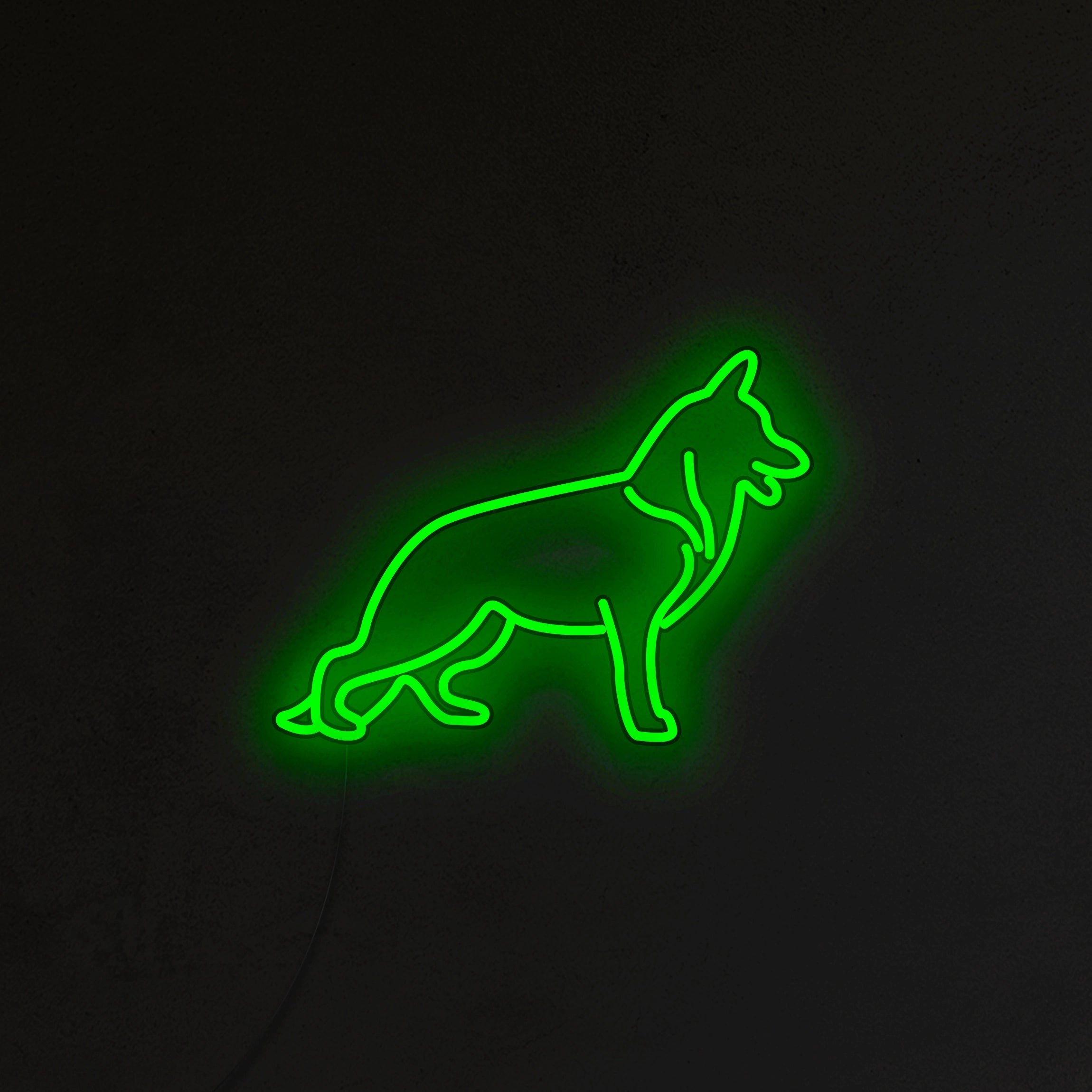 Owczarek Niemiecki Neon LED