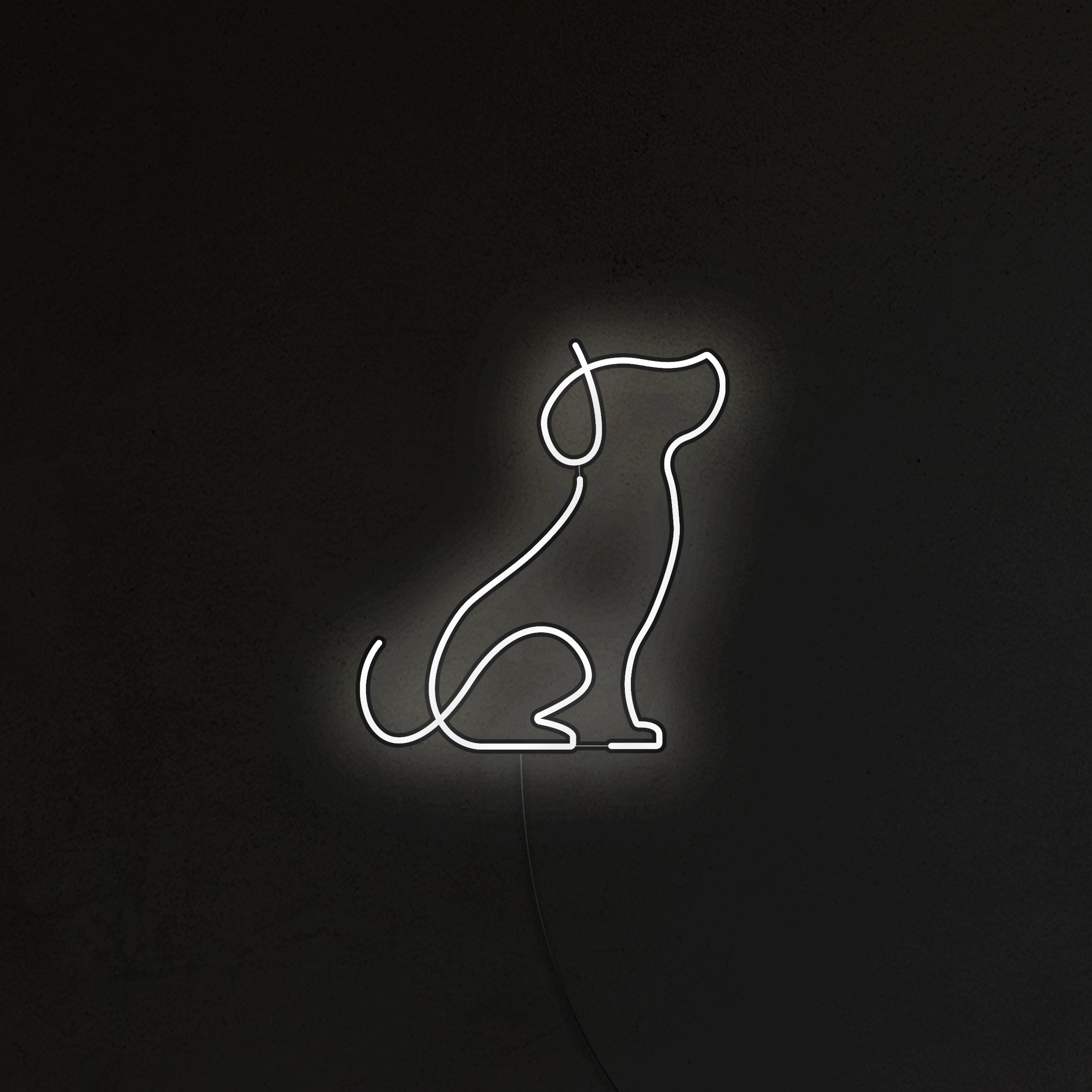 Pies Picasso Neon LED