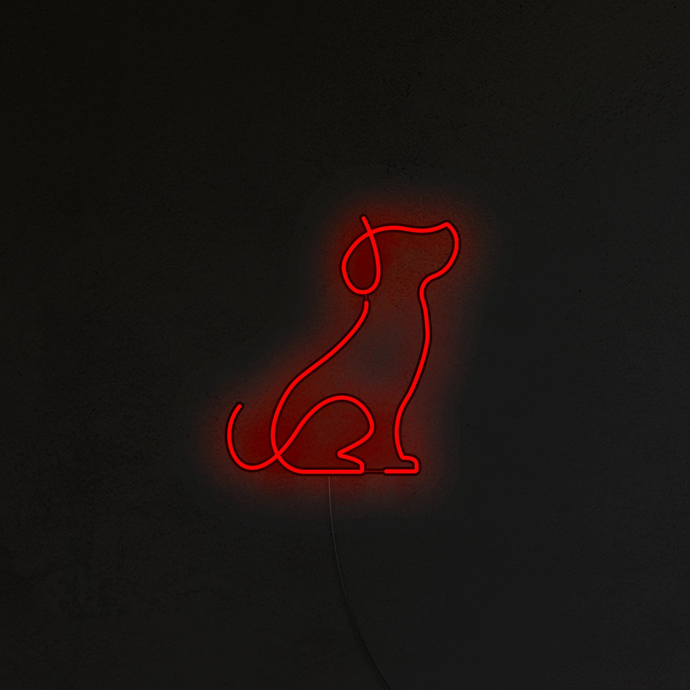 Pies Picasso Neon LED