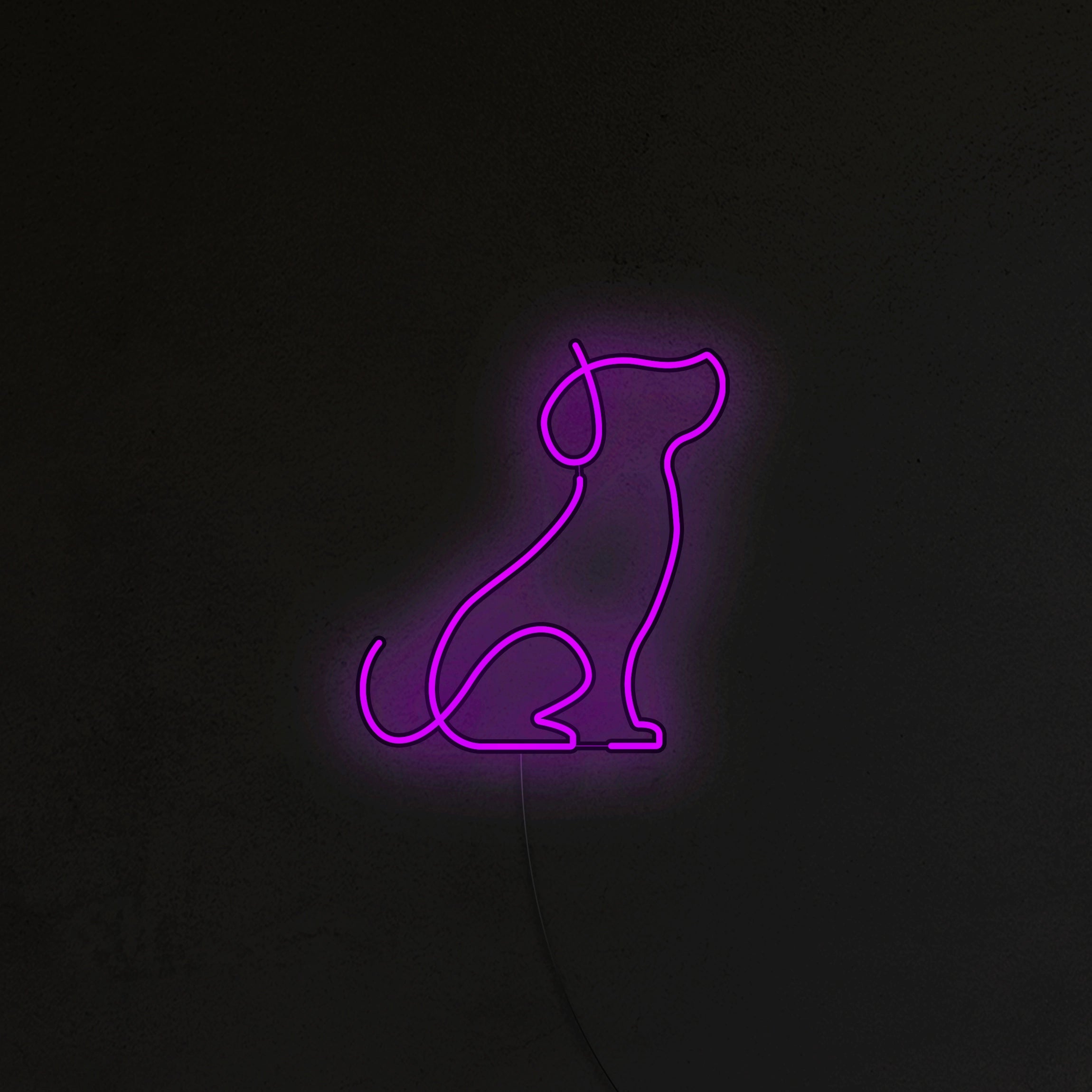 Pies Picasso Neon LED