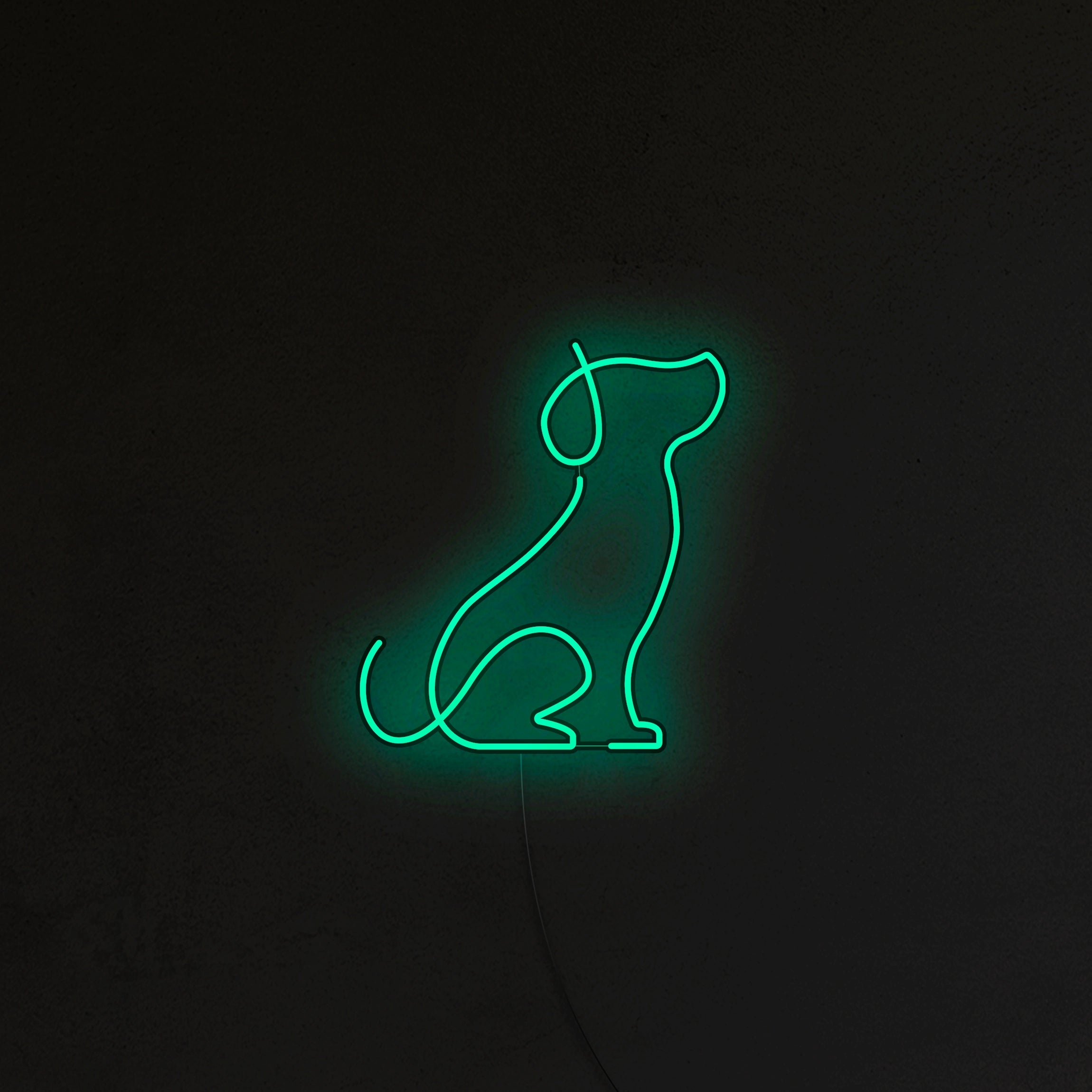 Pies Picasso Neon LED