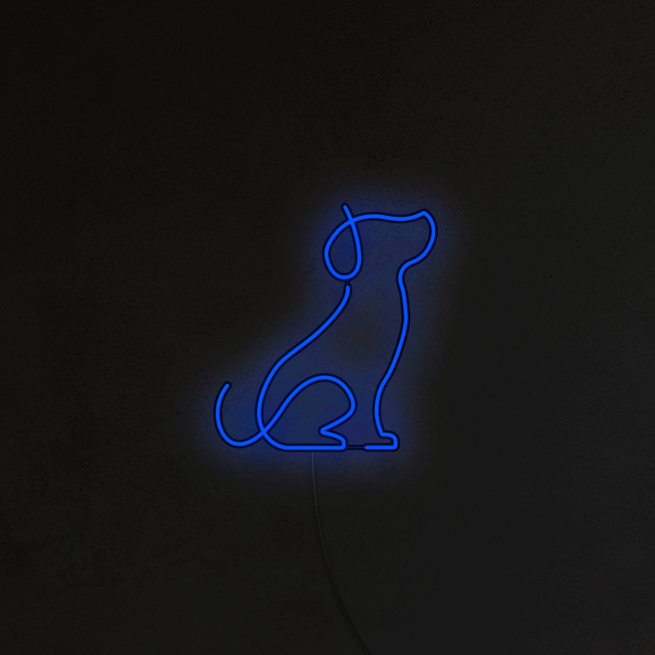 Pies Picasso Neon LED