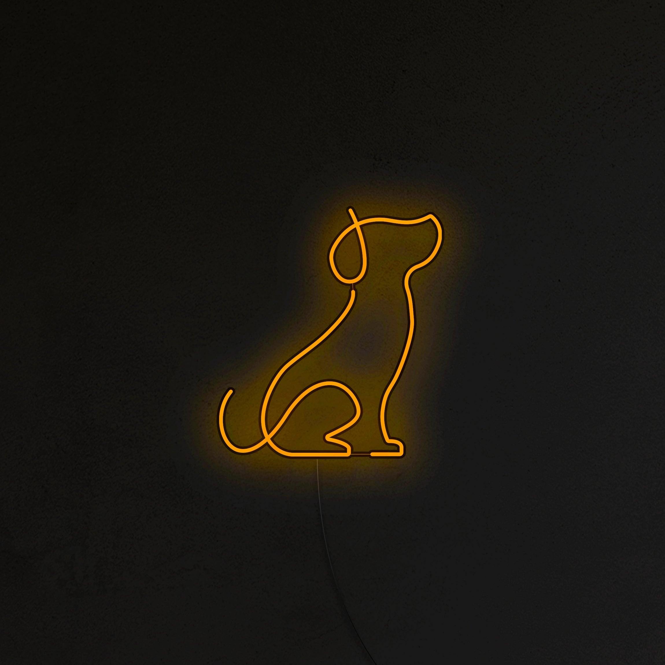 Pies Picasso Neon LED