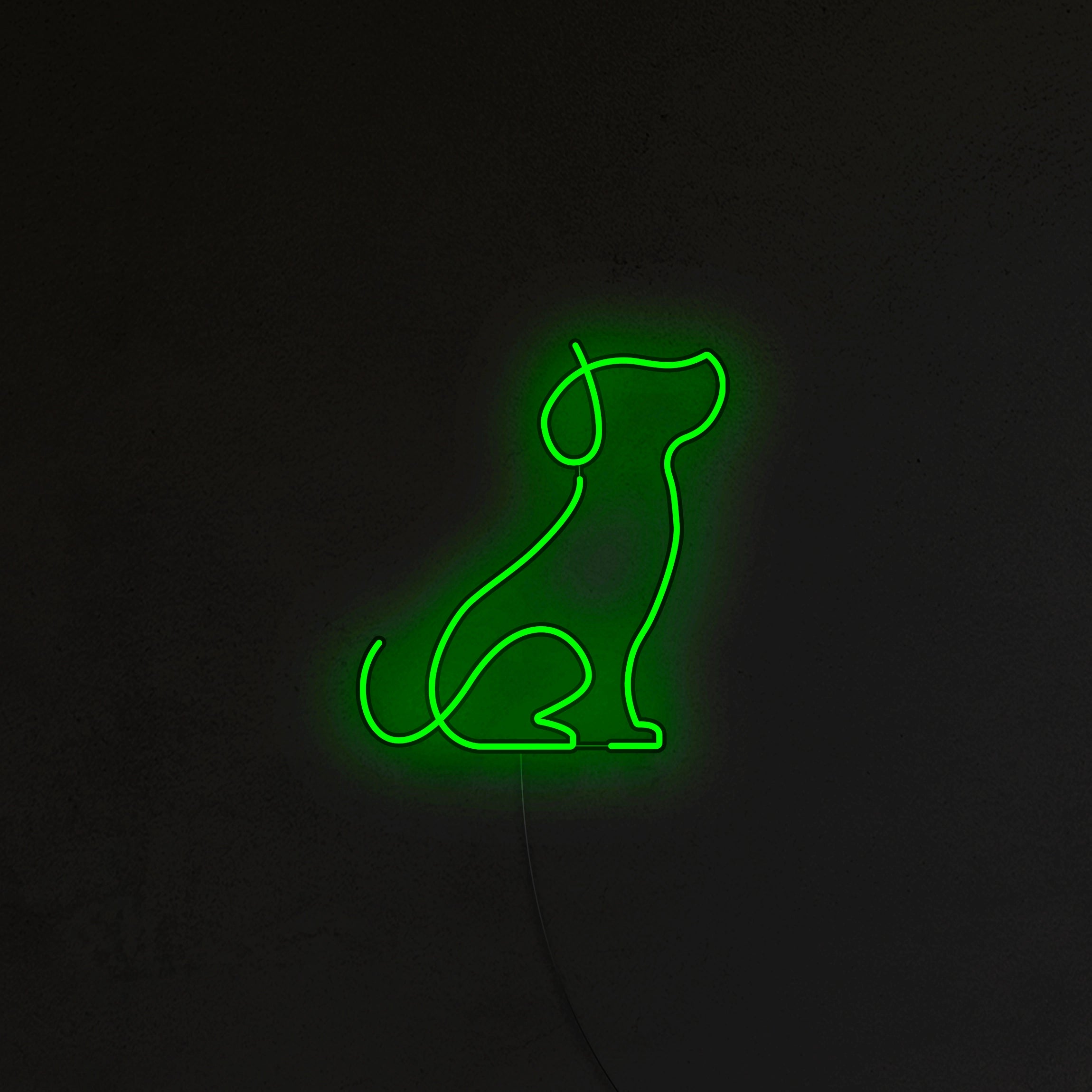 Pies Picasso Neon LED