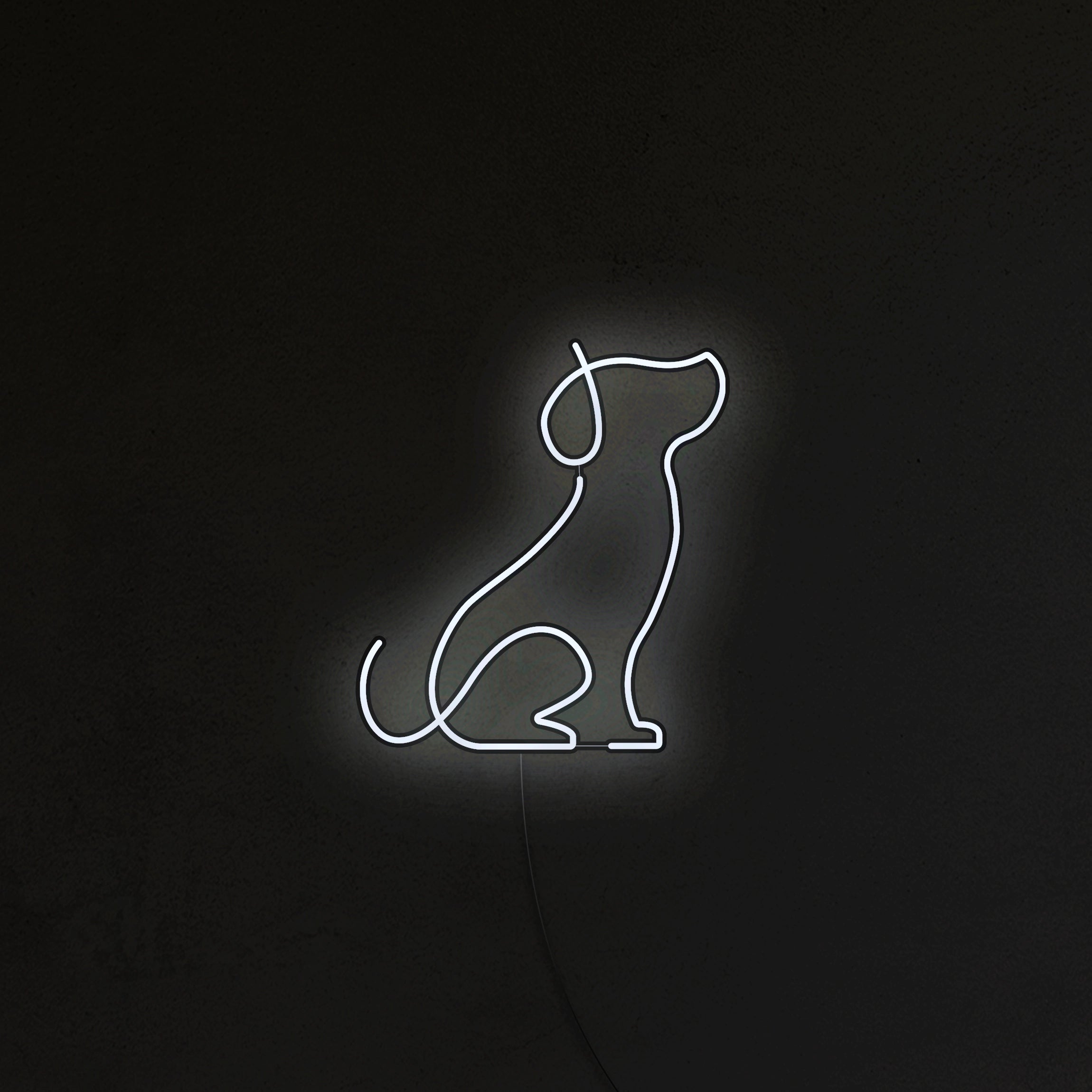 Pies Picasso Neon LED