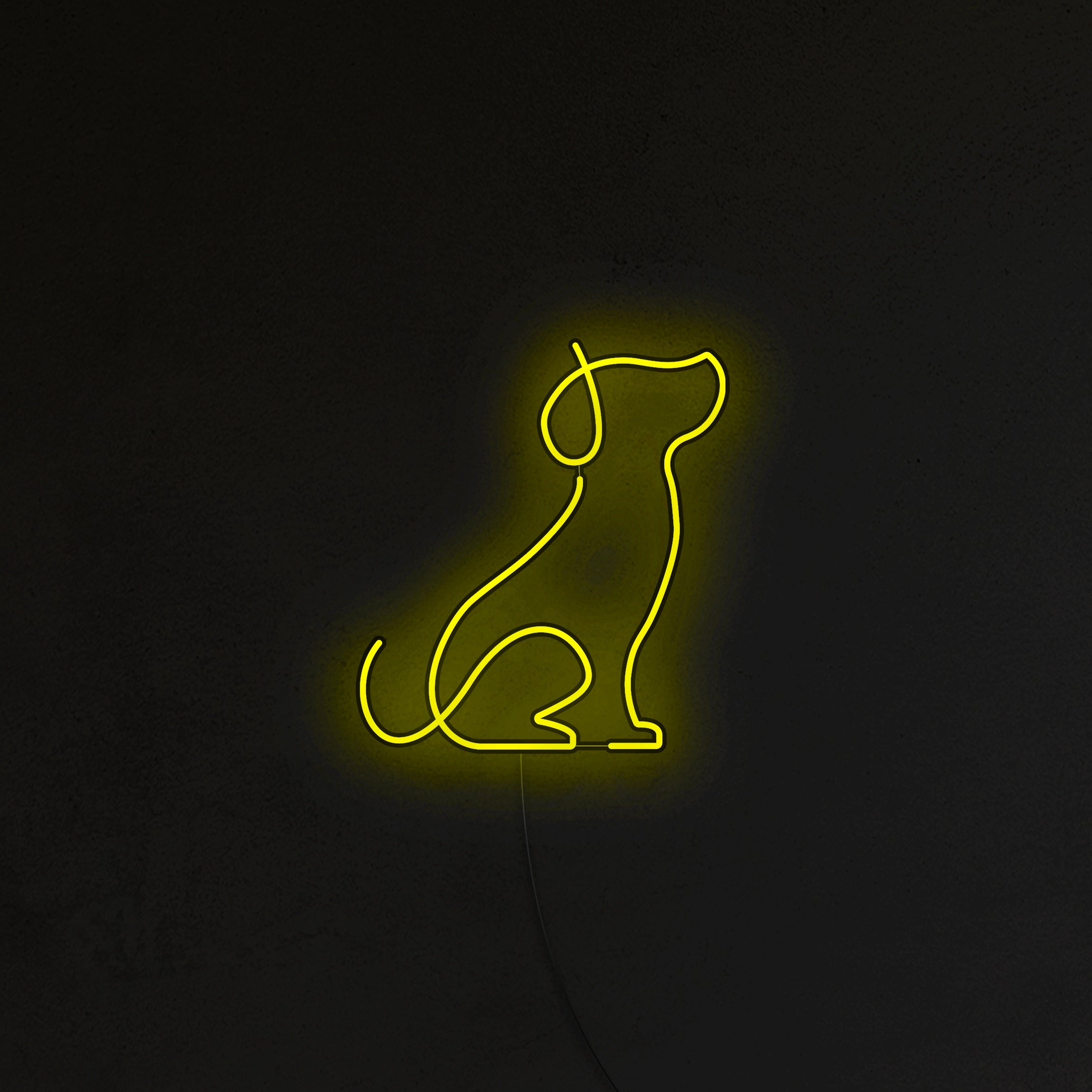 Pies Picasso Neon LED