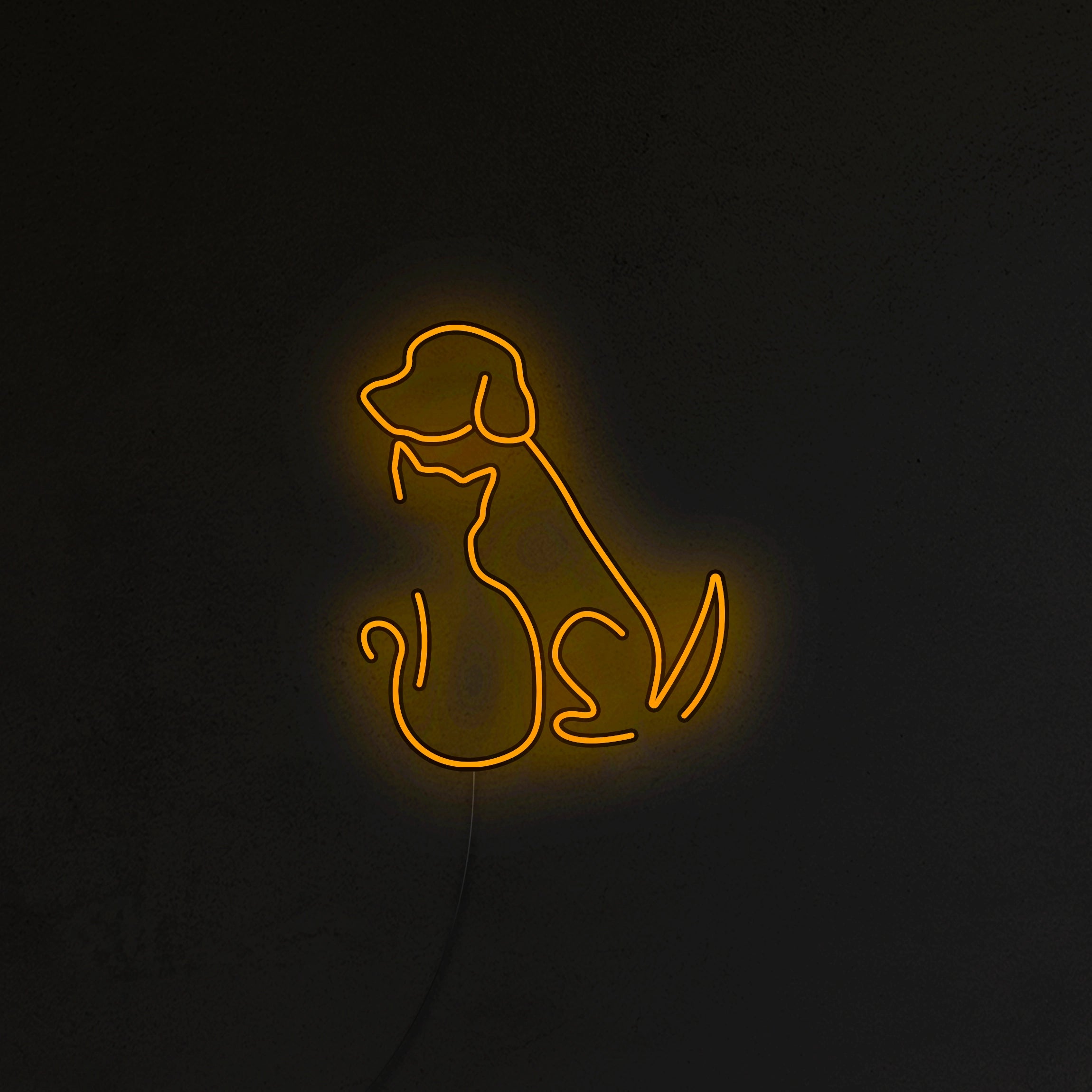 Pies i Kot Neon LED