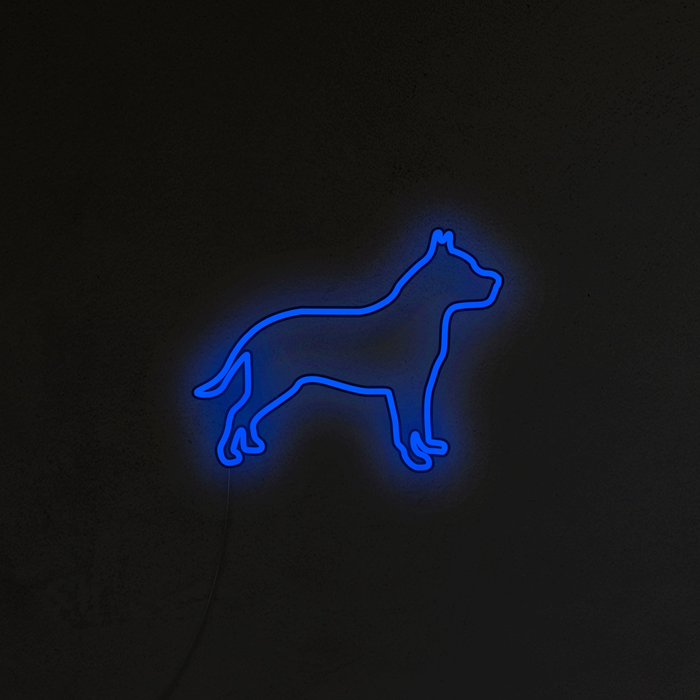 Pitbull Neon LED