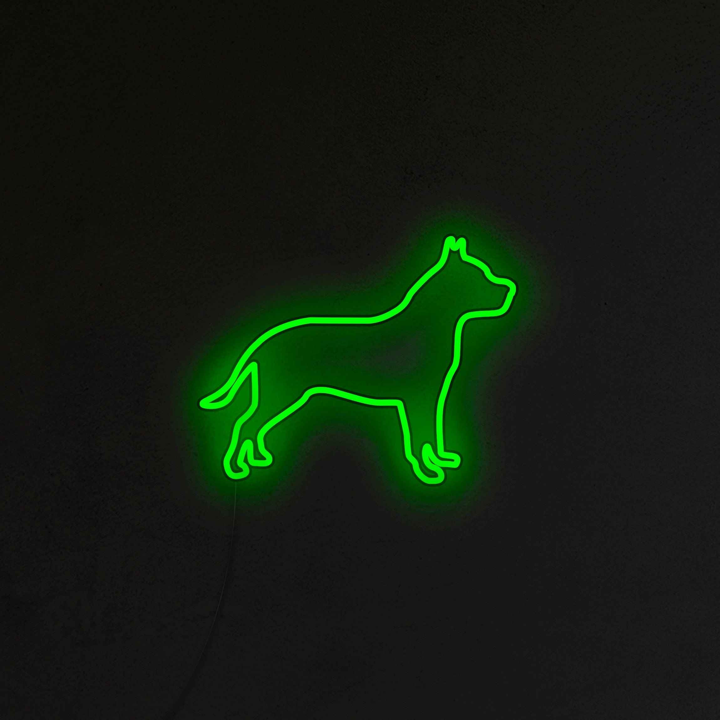 Pitbull Neon LED