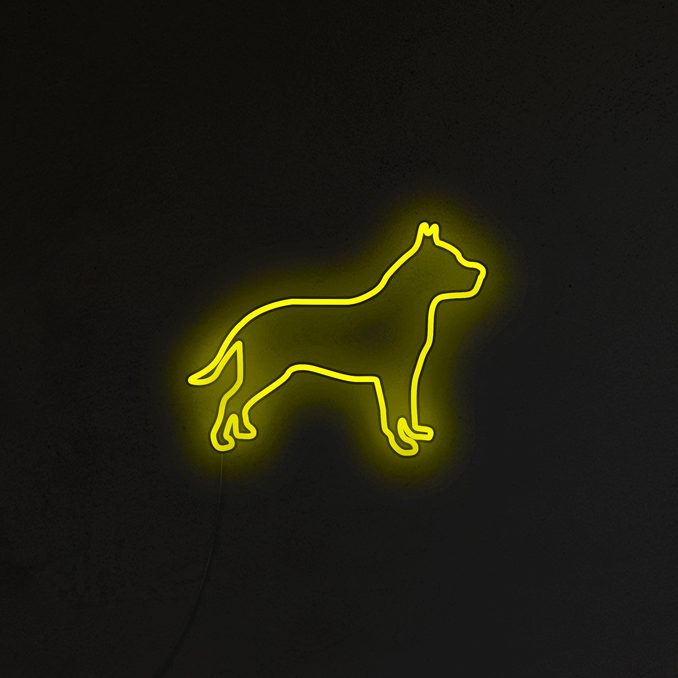 Pitbull Neon LED
