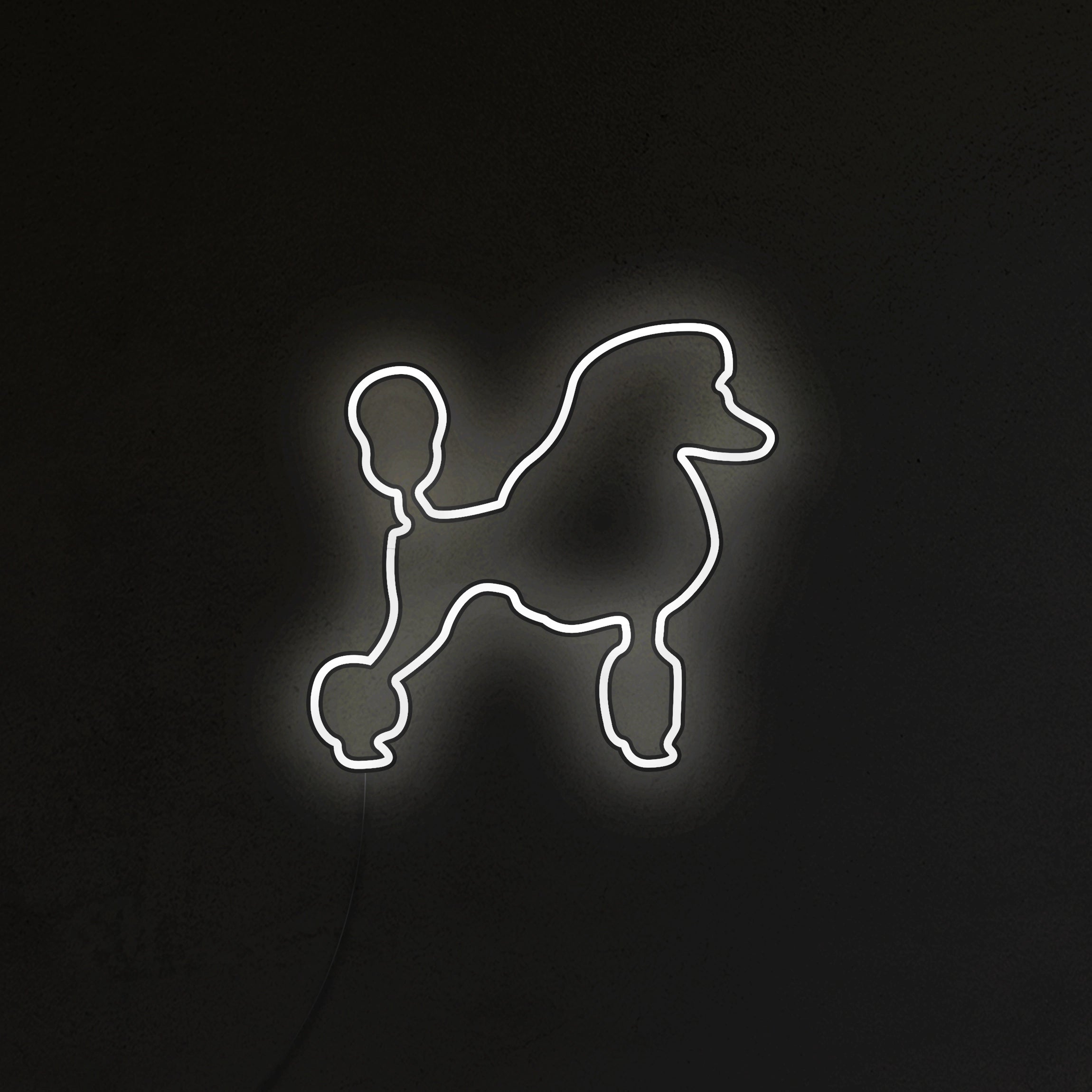 Pudel Neon LED
